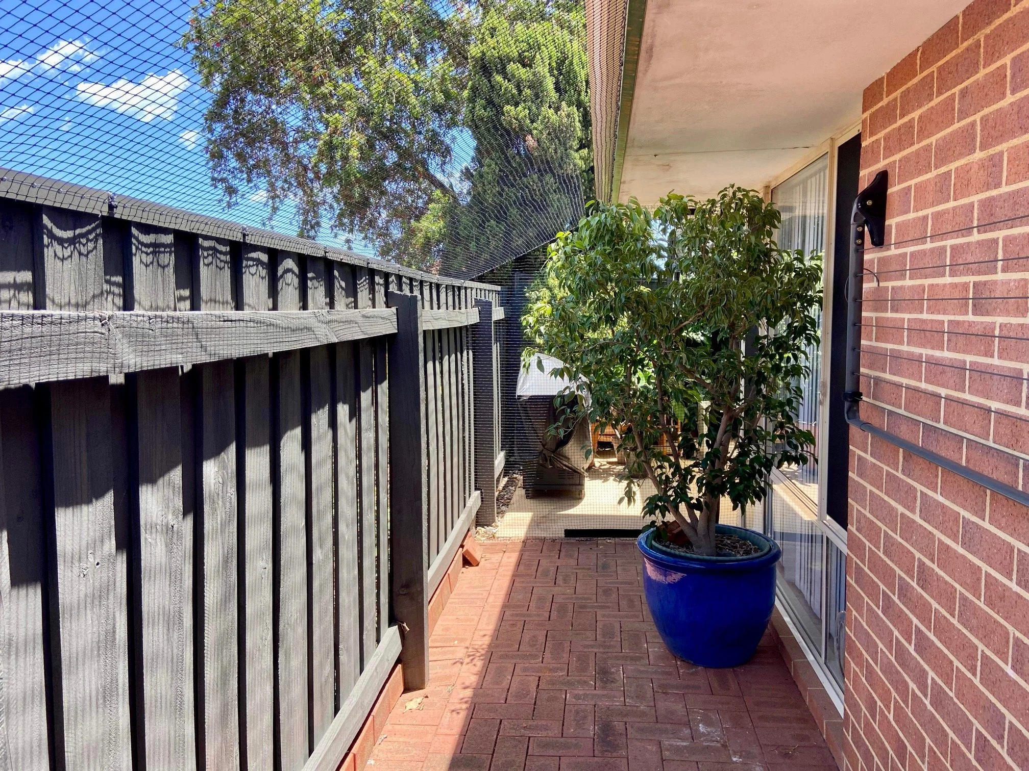 Side walkway cat run ardross.jpg