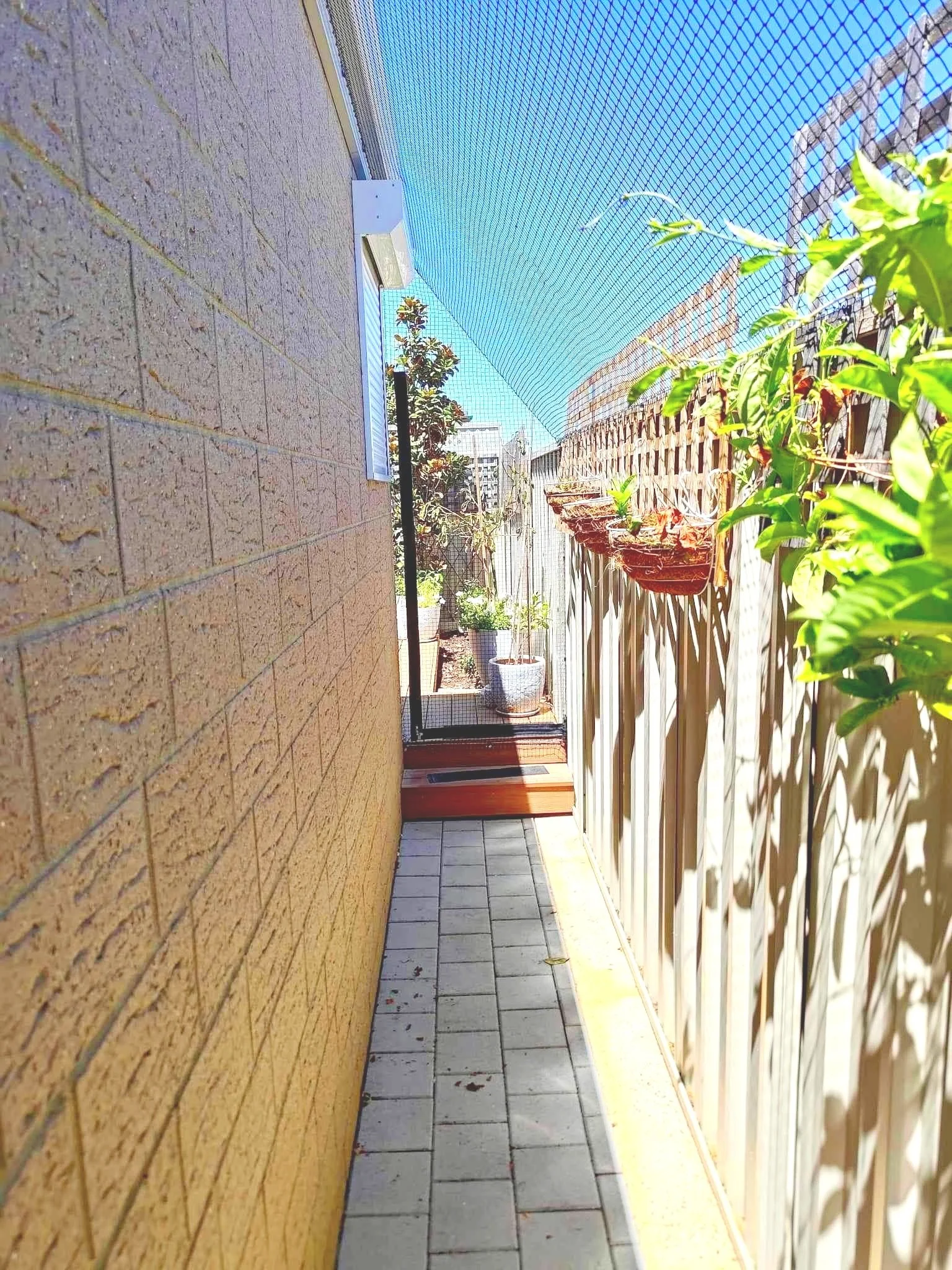 side+walkway+cat+run+Piara+Waters.jpg
