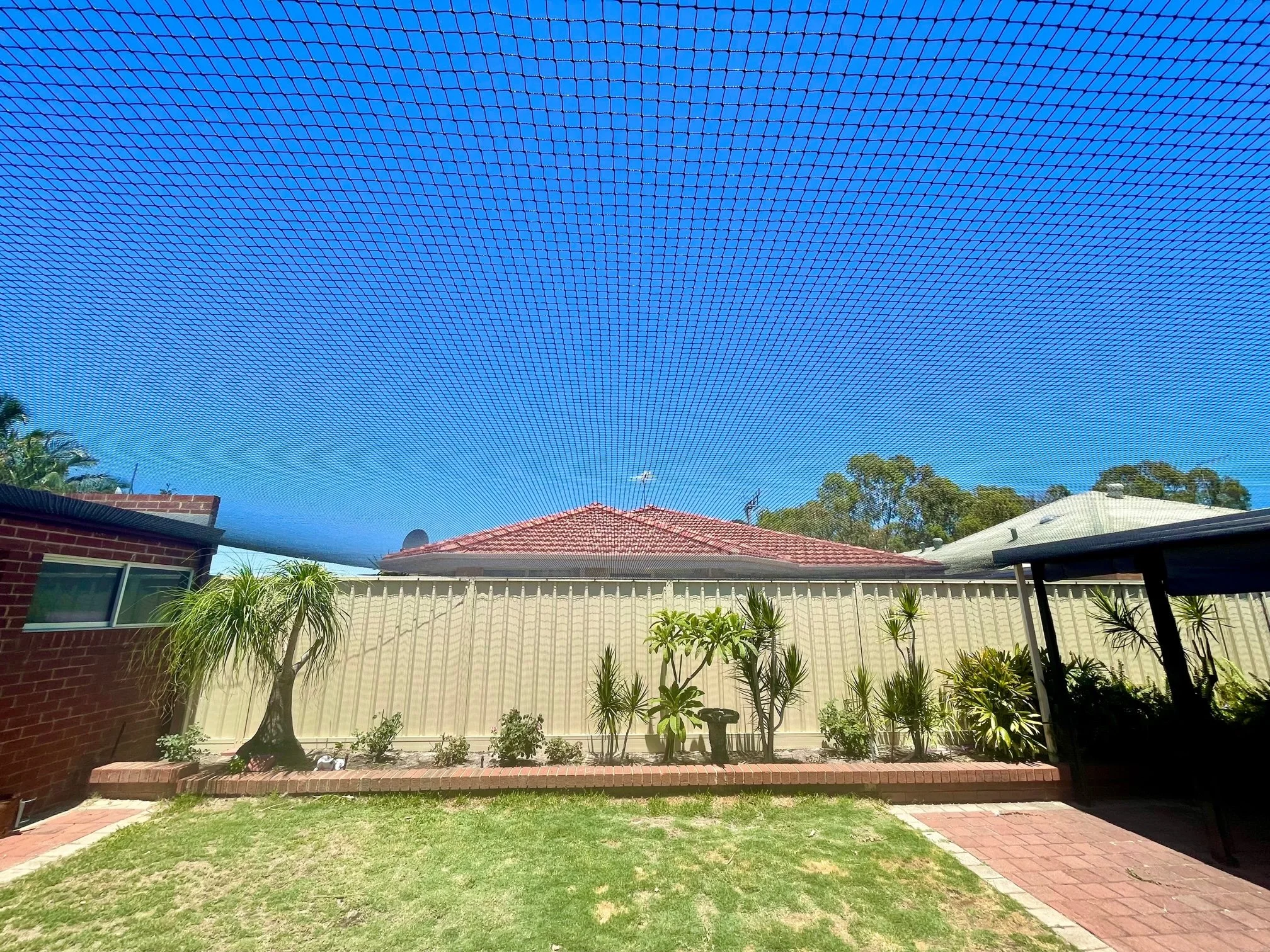 Huntingdale netted backyard.jpg