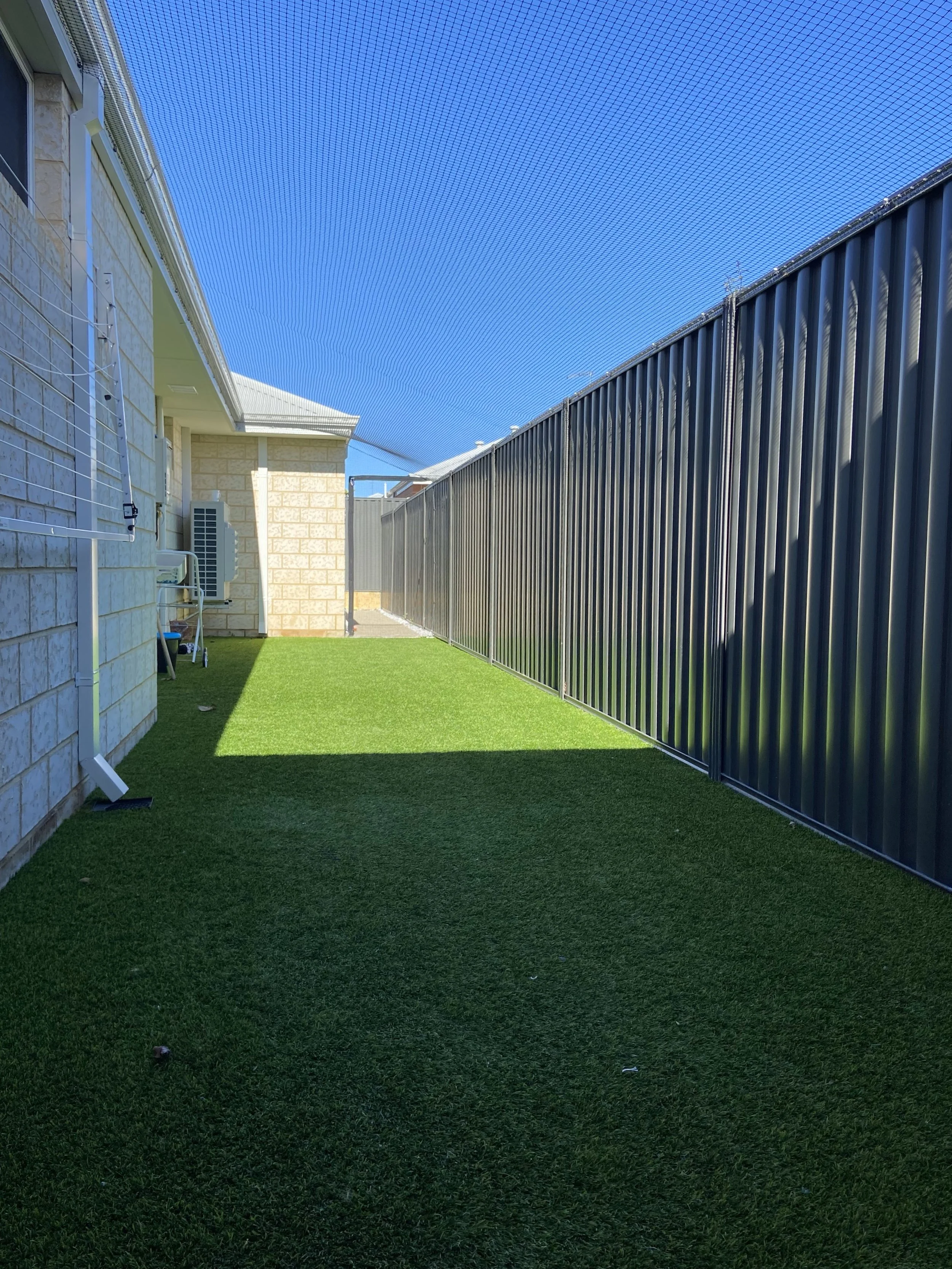bright yard.jpg