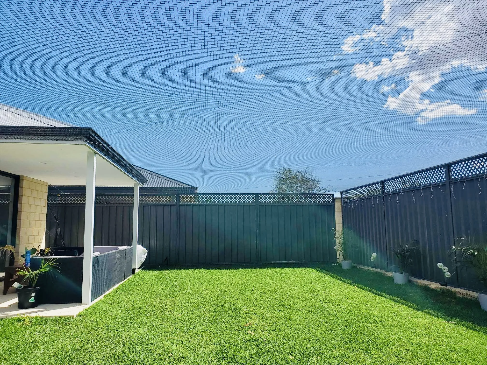 Baldivis whole yard enclosure.jpeg