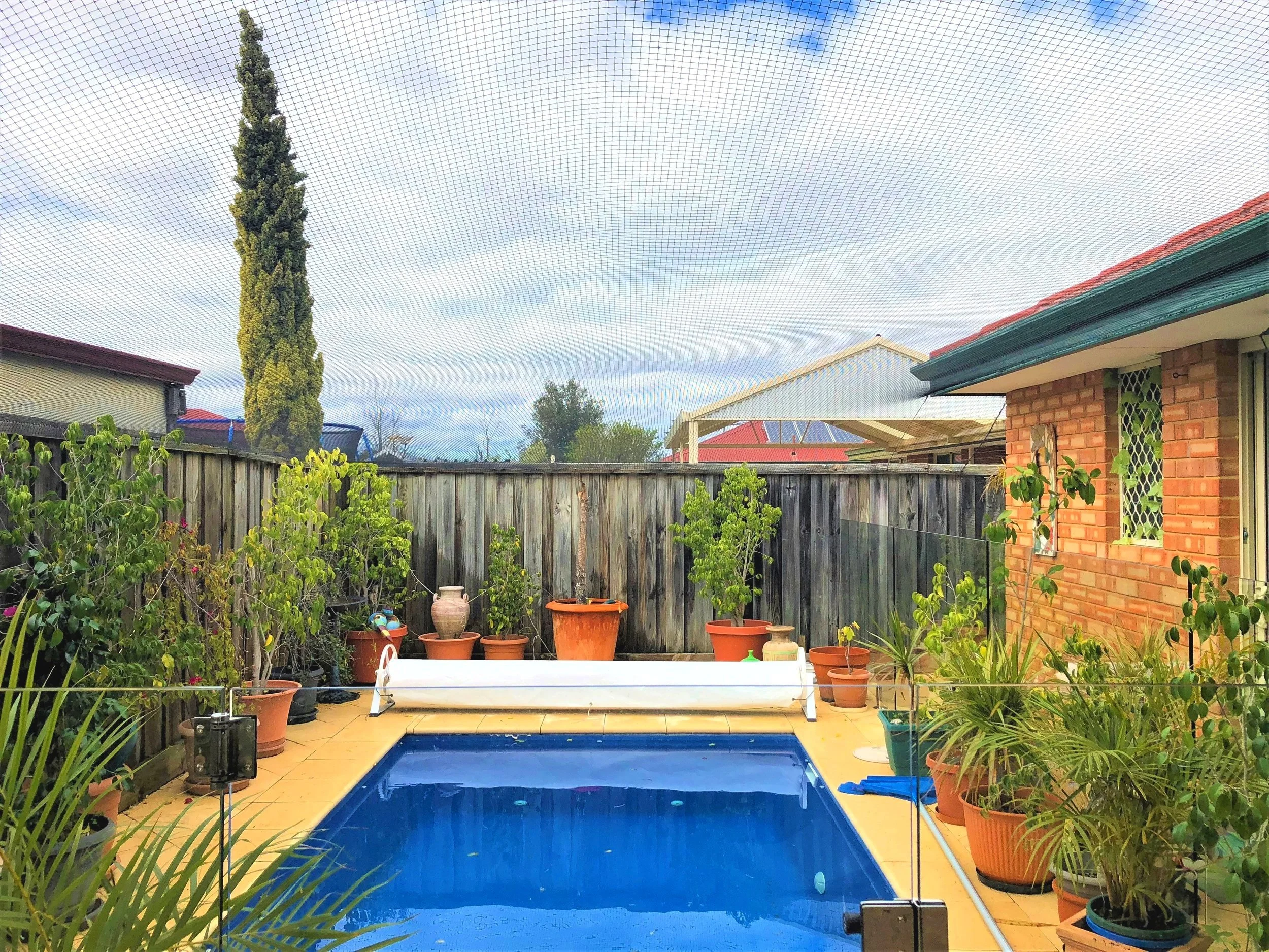beautiful+over+pool+%282%29.jpg