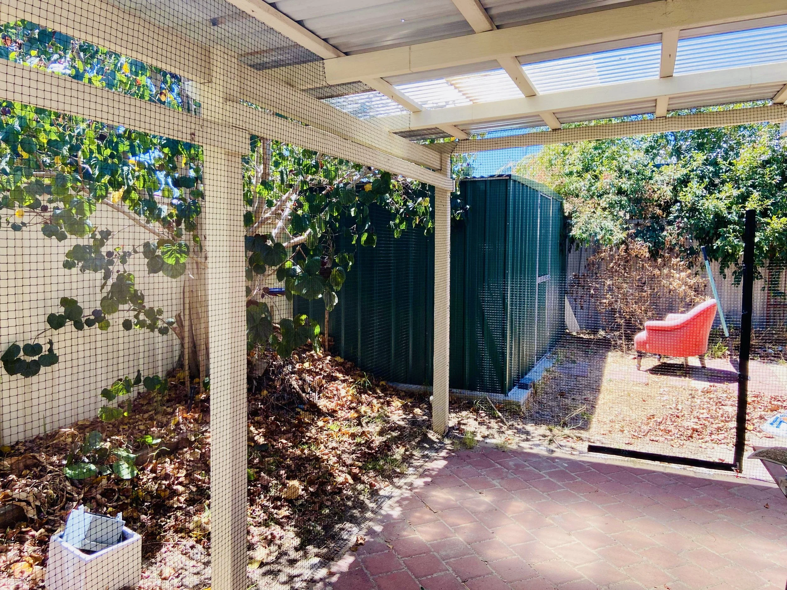 safe cat patio enclosure Ellenbrook.jpg