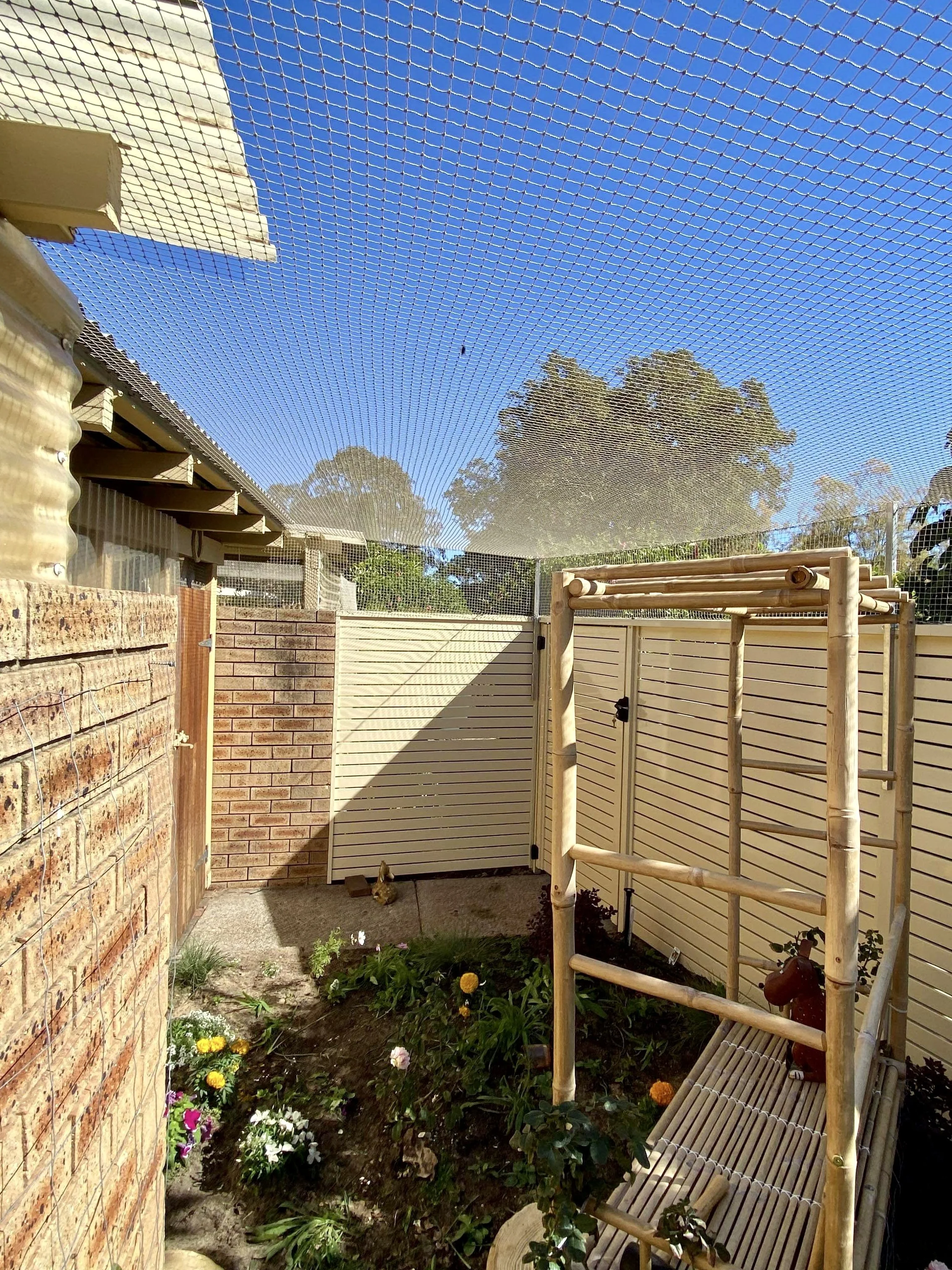 stone net courtyard cat enclosure Lesmurdie.jpg