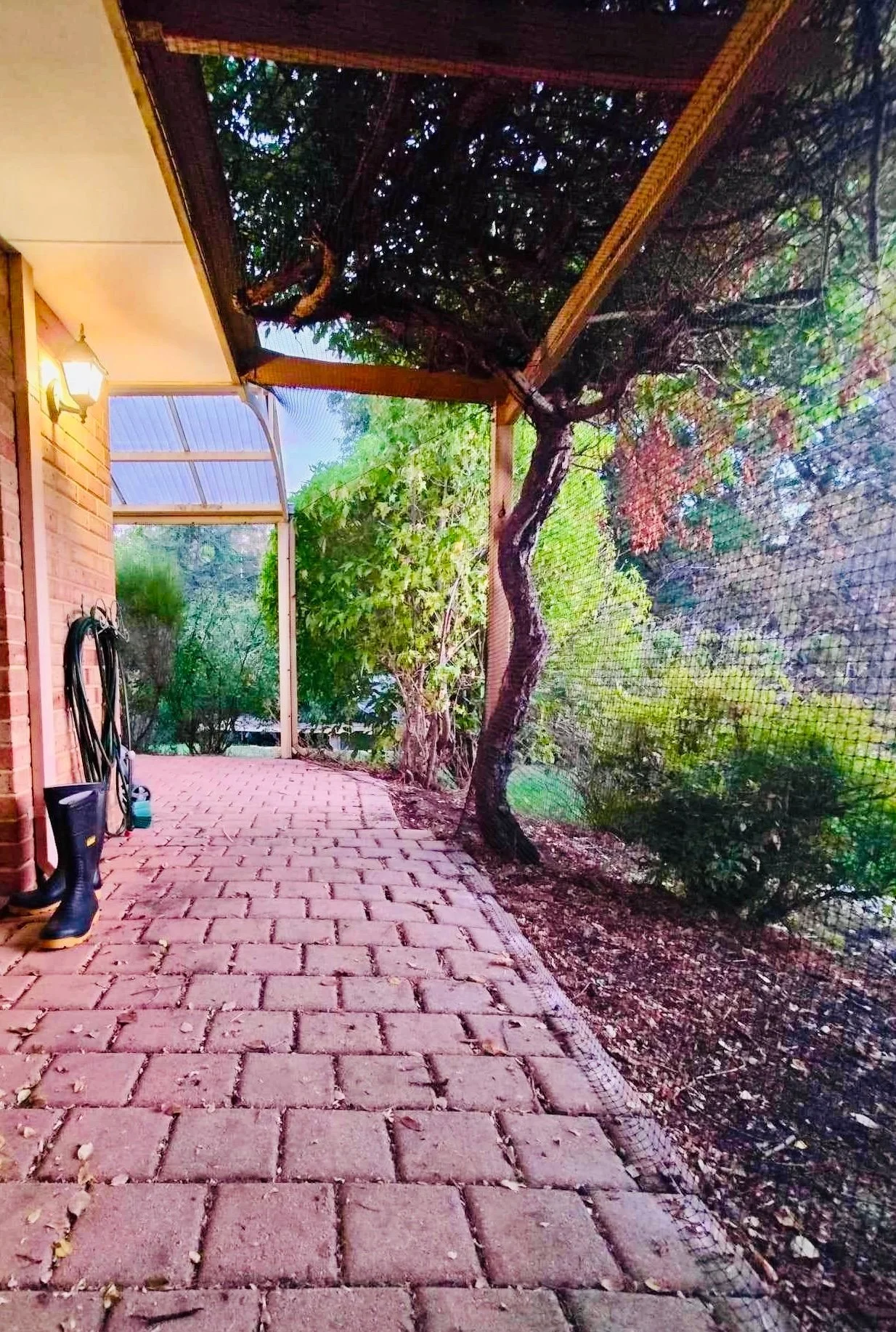 Cat+enclosure+verandah+Roleystone.jpg