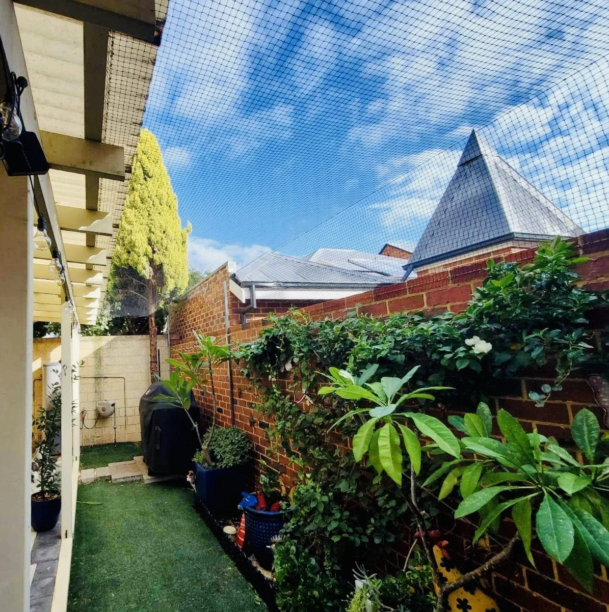 Subiaco Cat Enclosure.jpeg