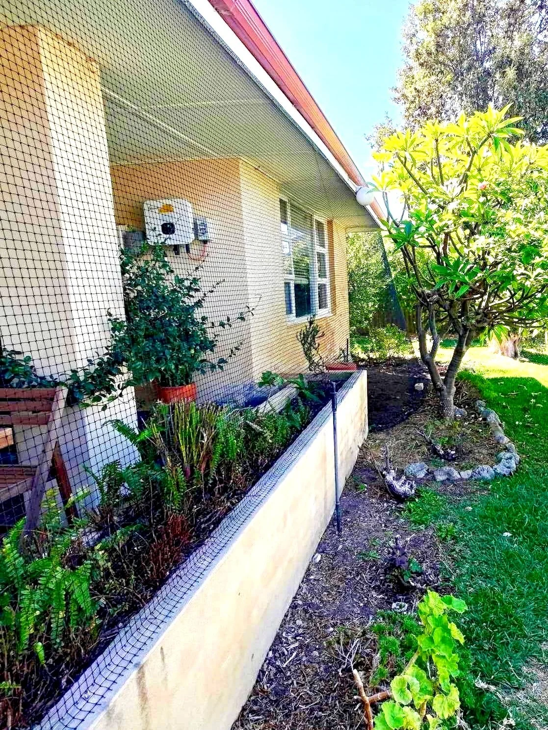 Verandah+cat+netting+enclosure+rockingham.jpg