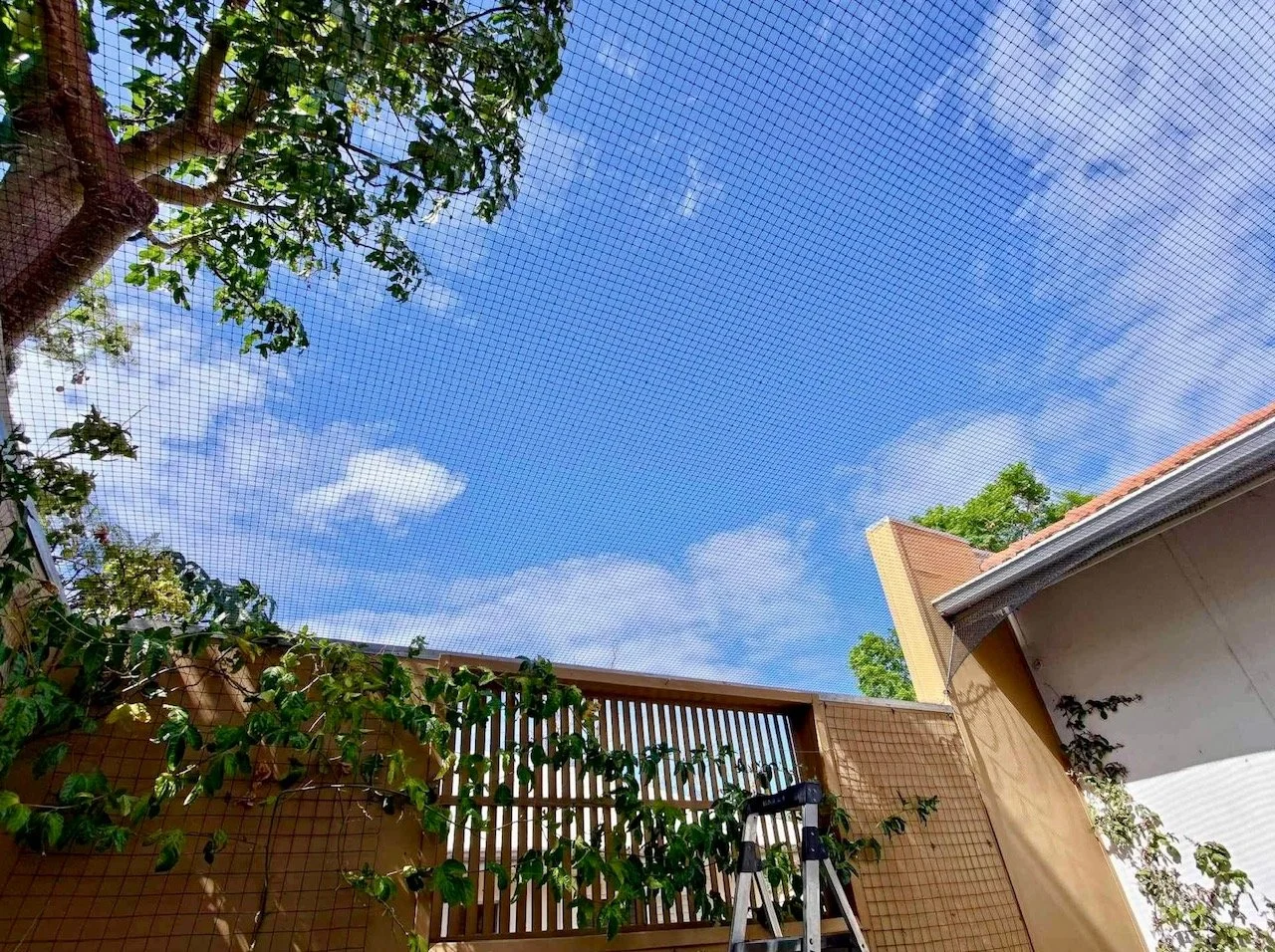 Courtyard catio Hilton.jpg