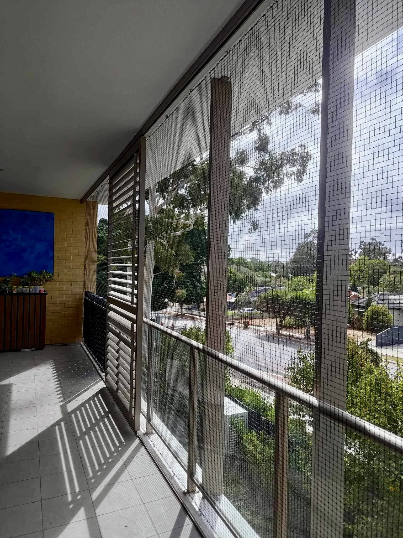 Cat netting balcony cat enclosure Bentley.jpg