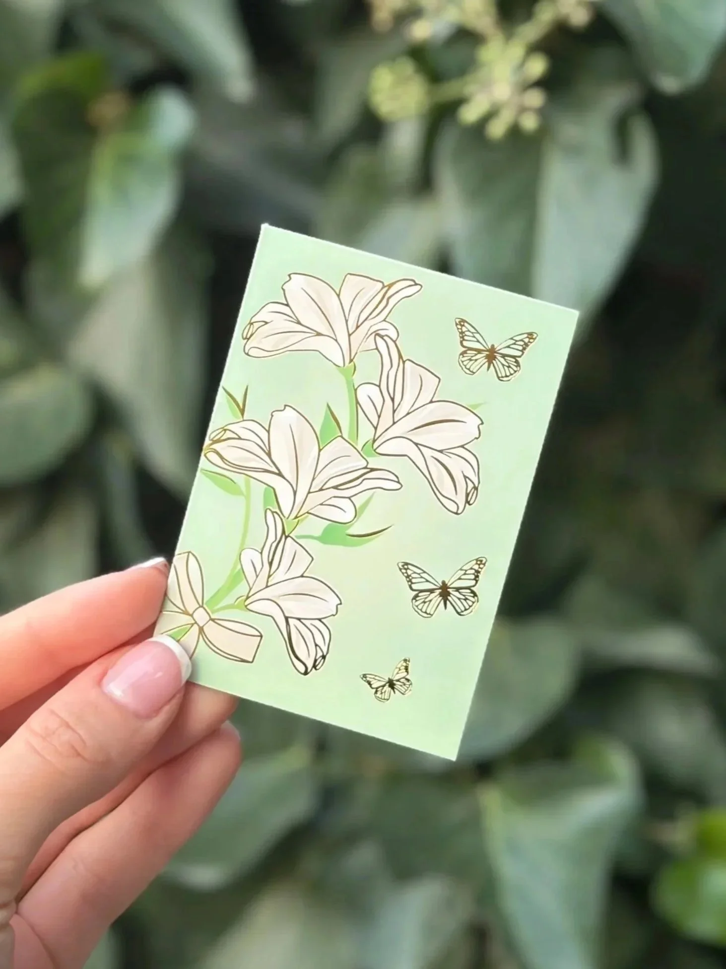 Green Lily Notecard