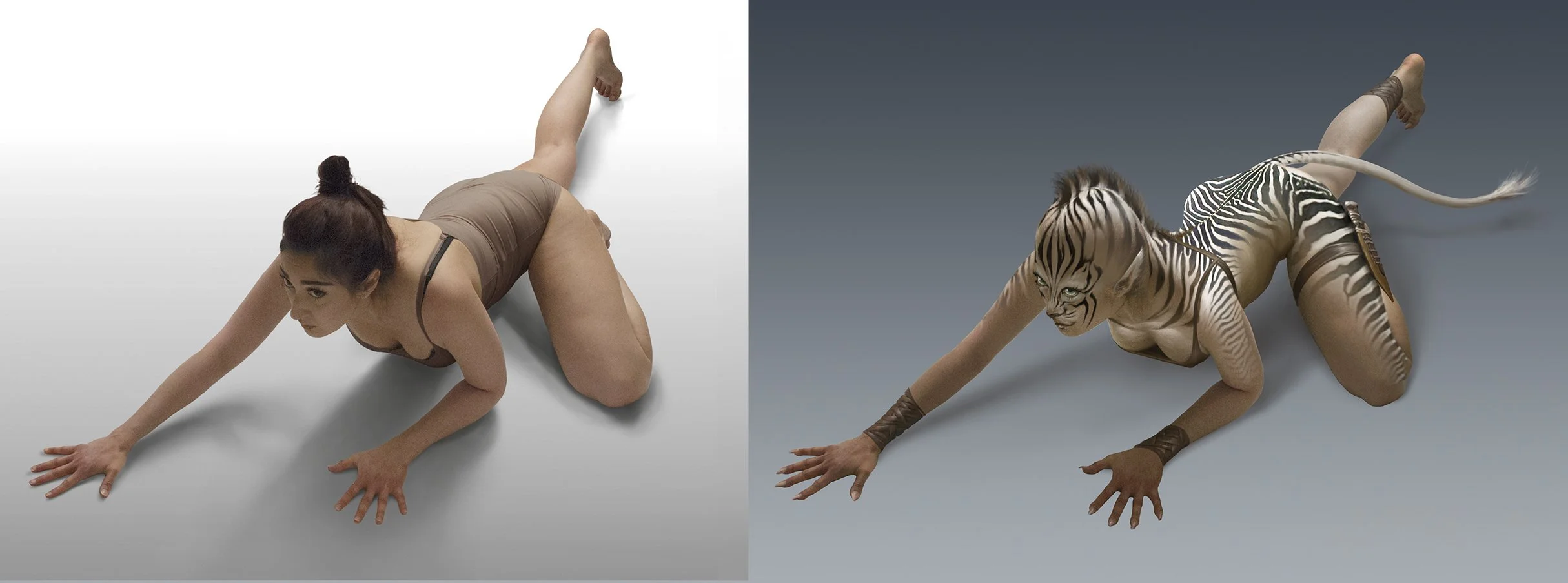 Before & After Zebra Crawler.jpg