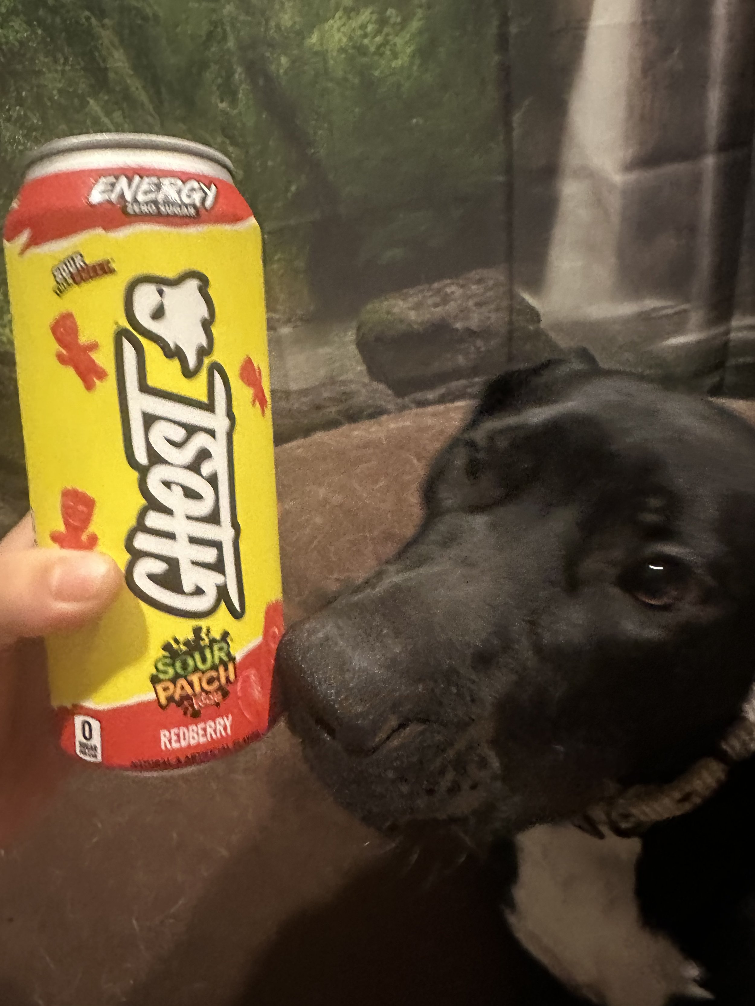 Custom Pet Service