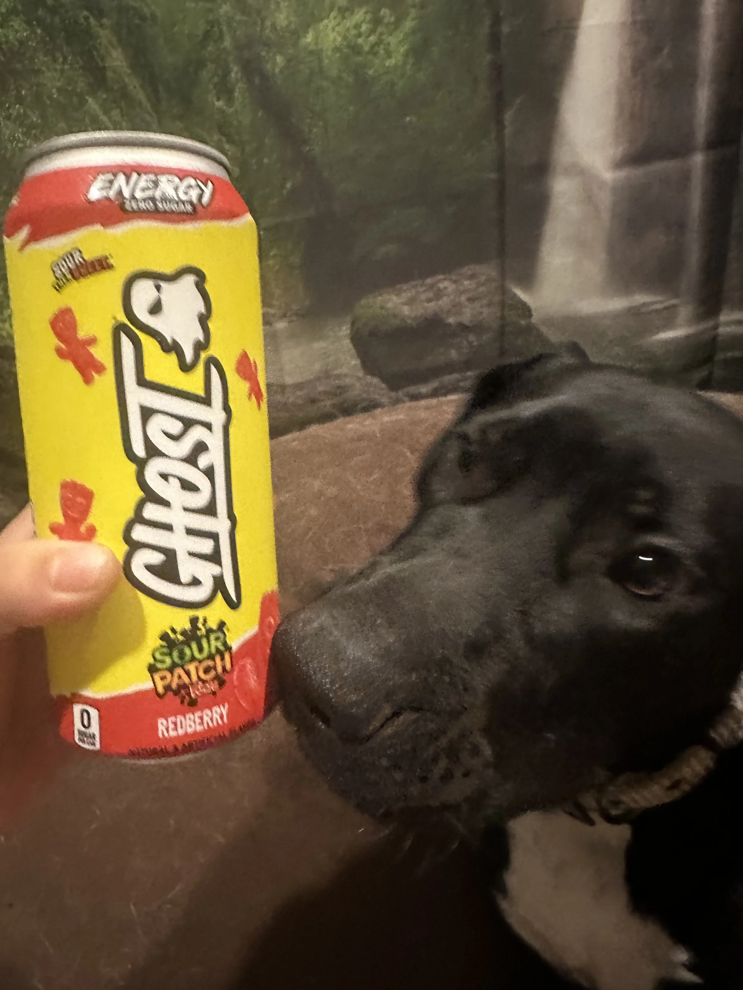 Custom Pet Service