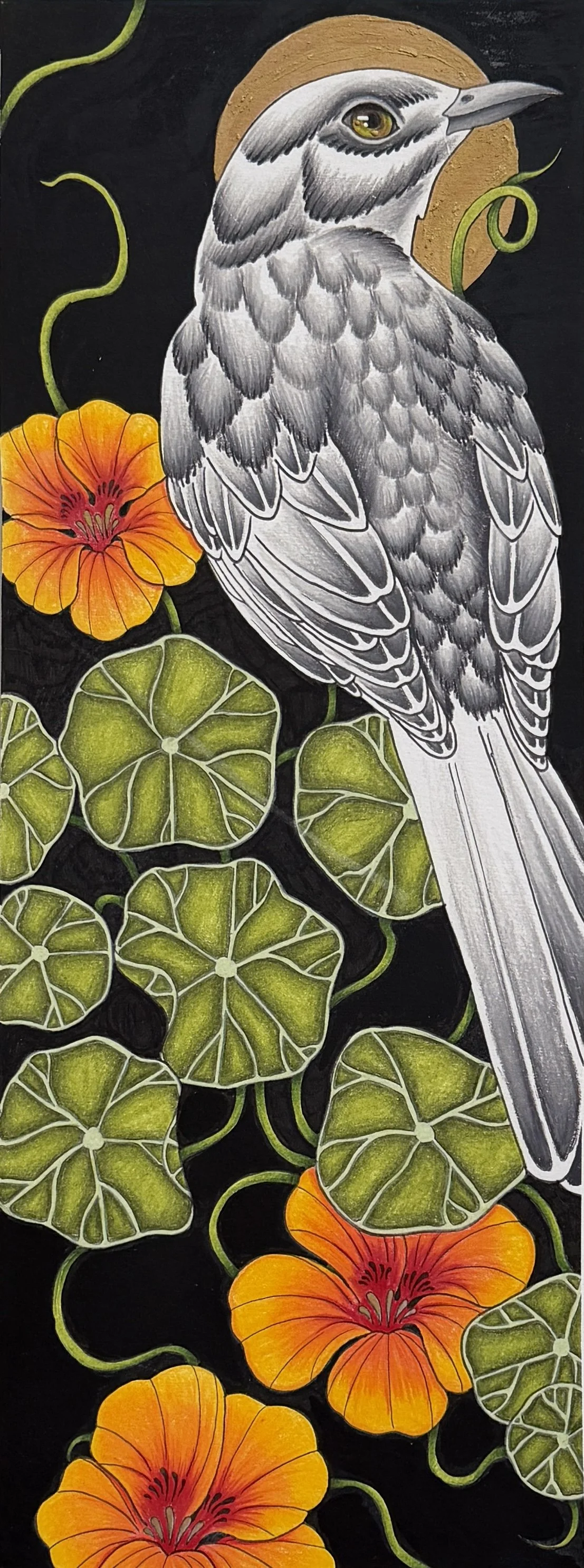 Nasturtium Bird
Colored Pencil & Ink on Paper