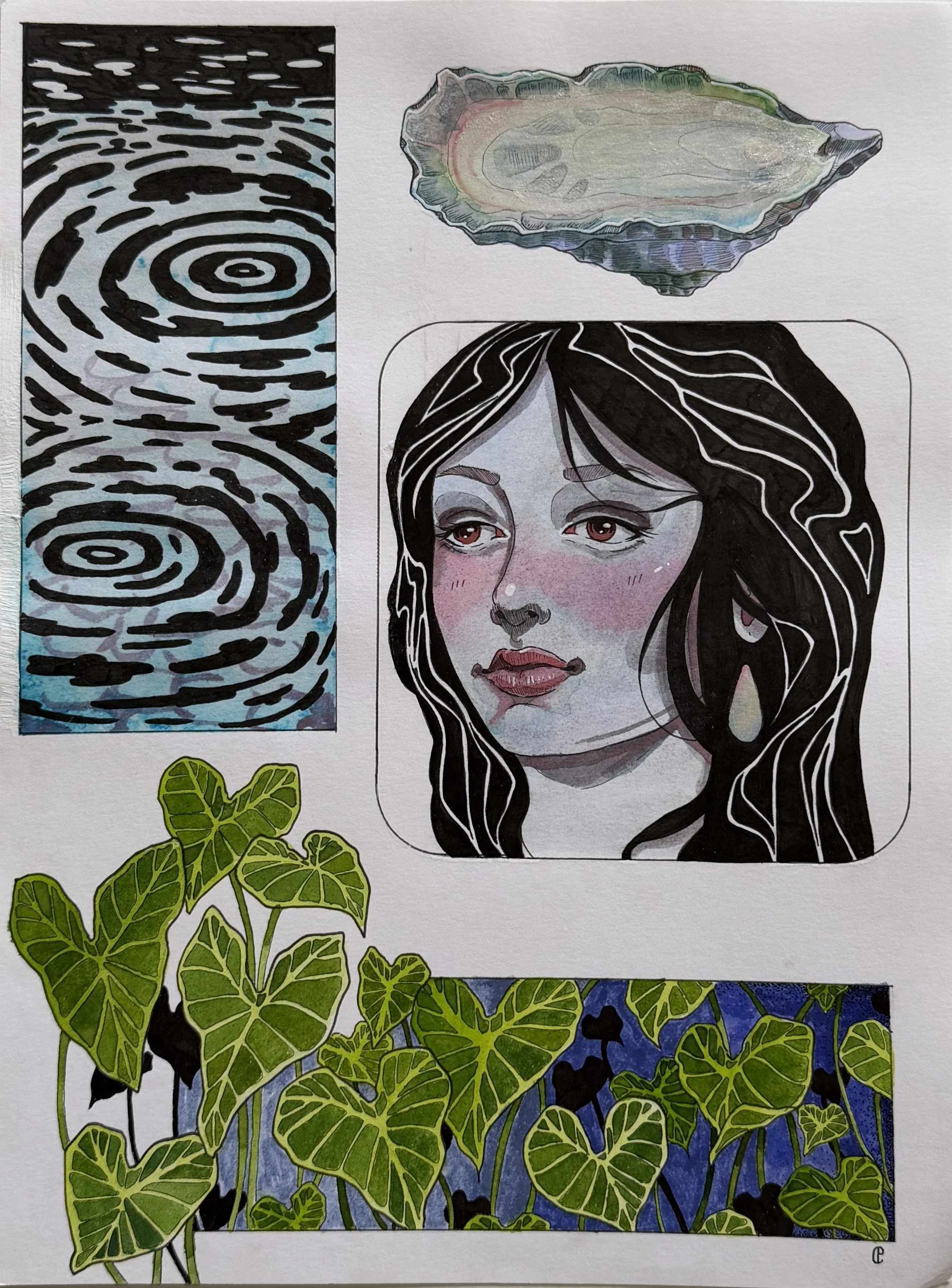 Water Collection
Watercolor & Ink on Paper