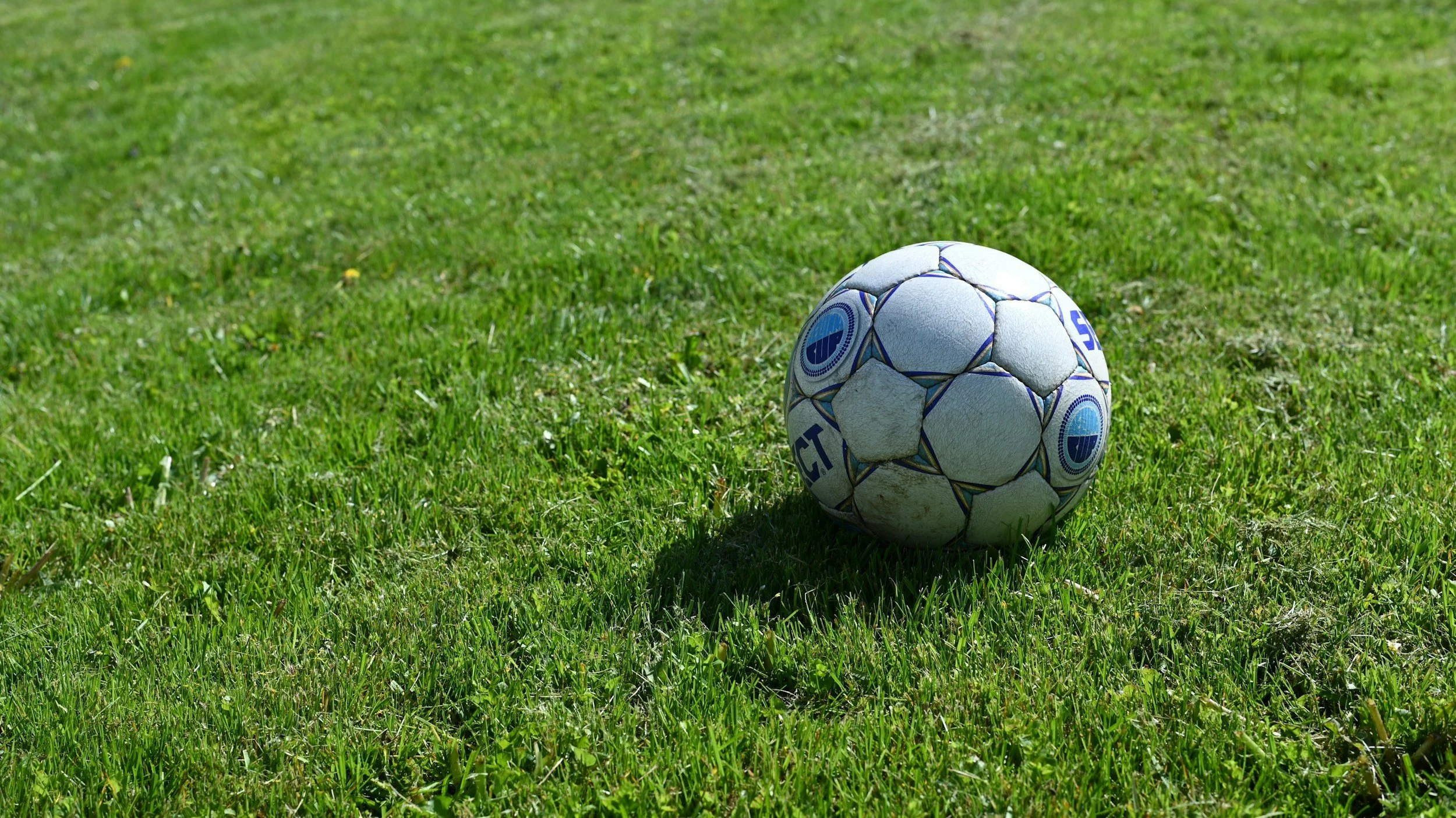 A soccer ball on a green grassy field.