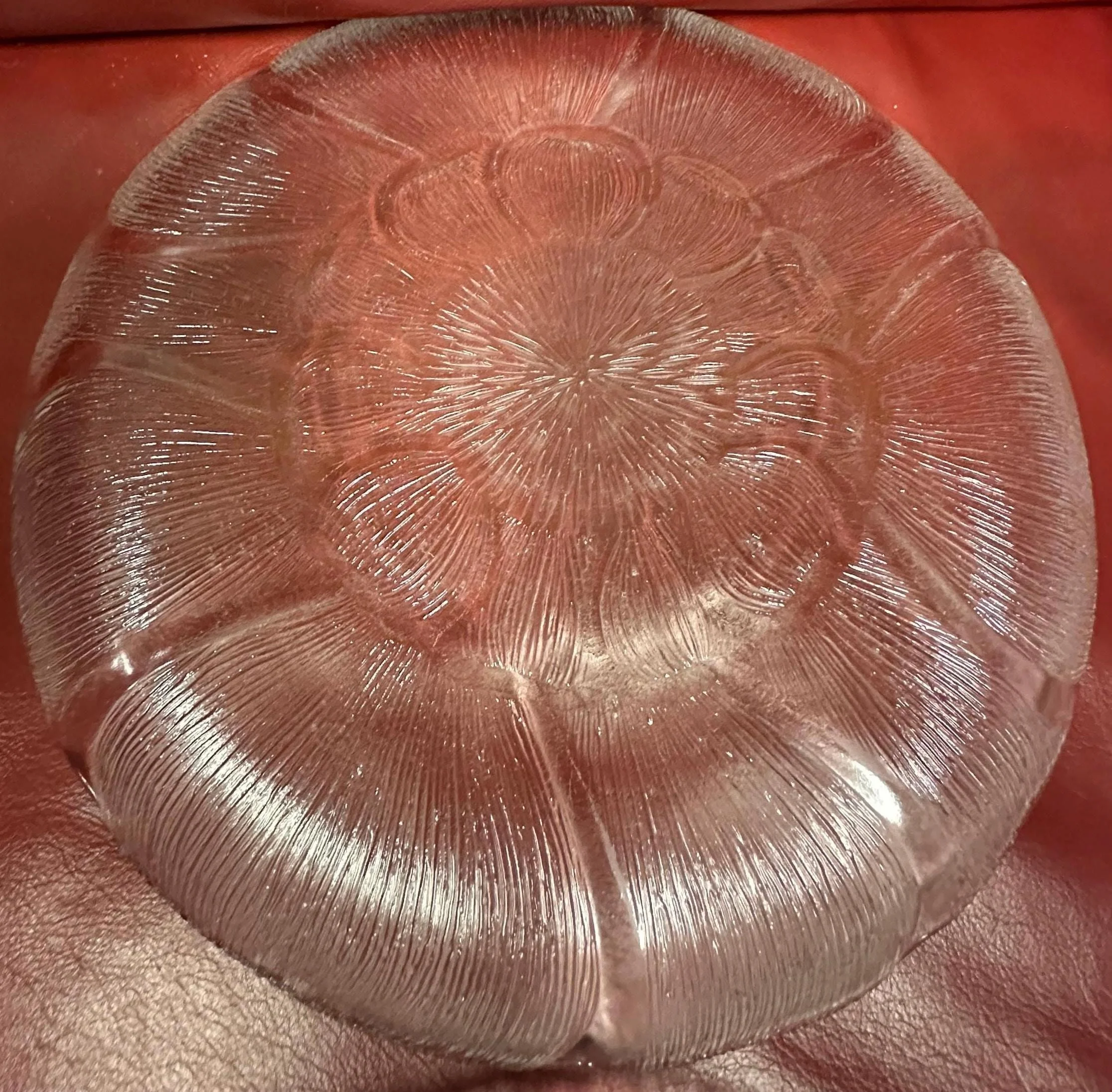 https://i.etsystatic.com/7620283/r/il/9a4c56/8361297075/il_fullxfull.8361297075_fzuf.jpg