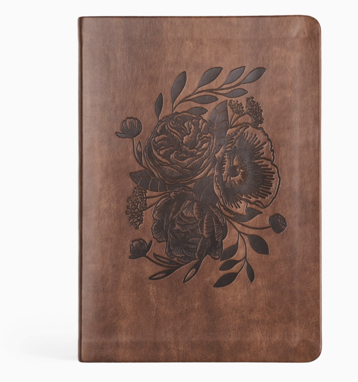 Notebook: Aurora Theme