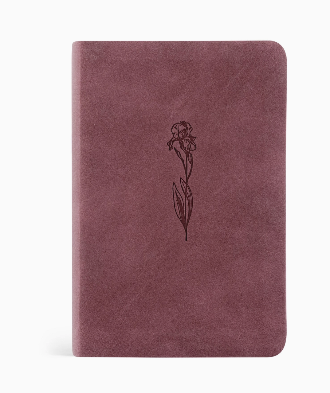 Helena Theme: NLT Compact Bible