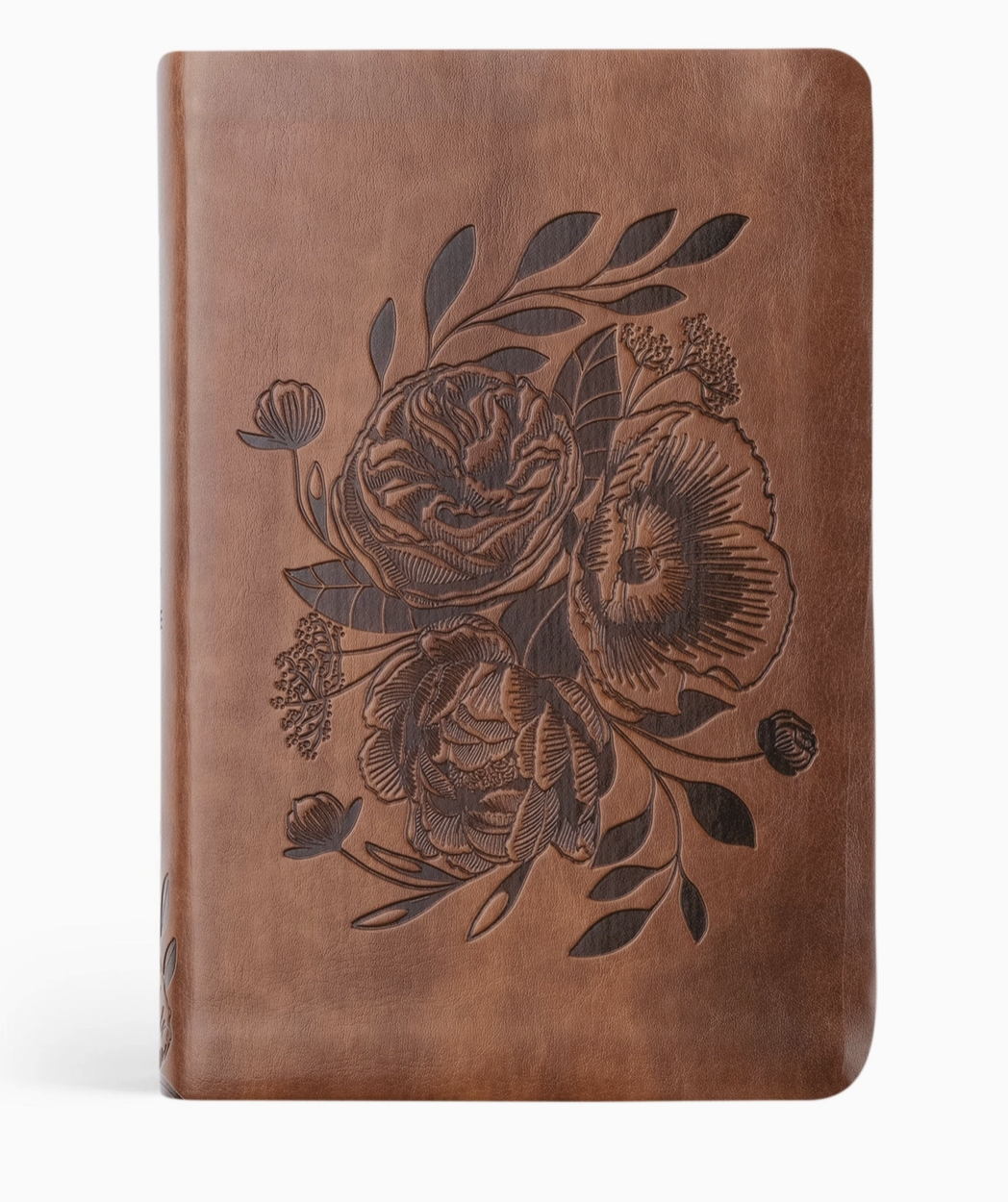 Aurora Theme: NLT Compact Bible: