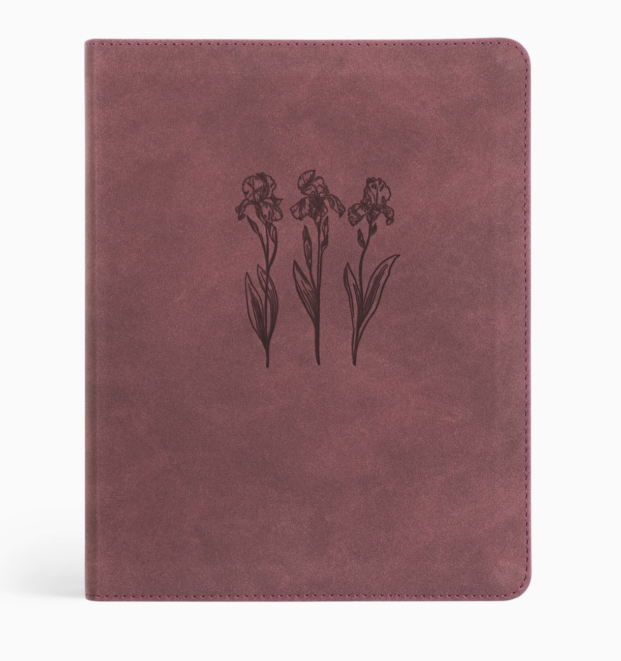 Santa Elena NLT Notetaking Bible
