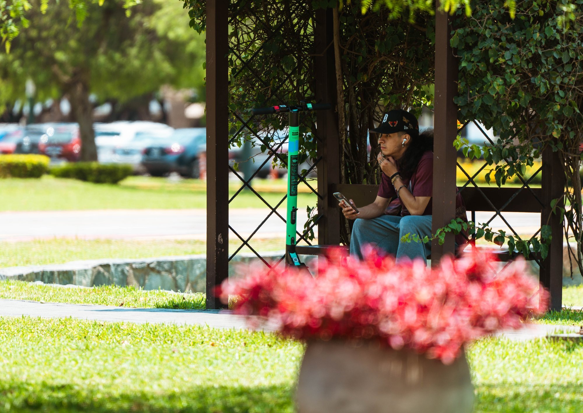 Persona bajo una pérgola con flores rosadas en primer plano