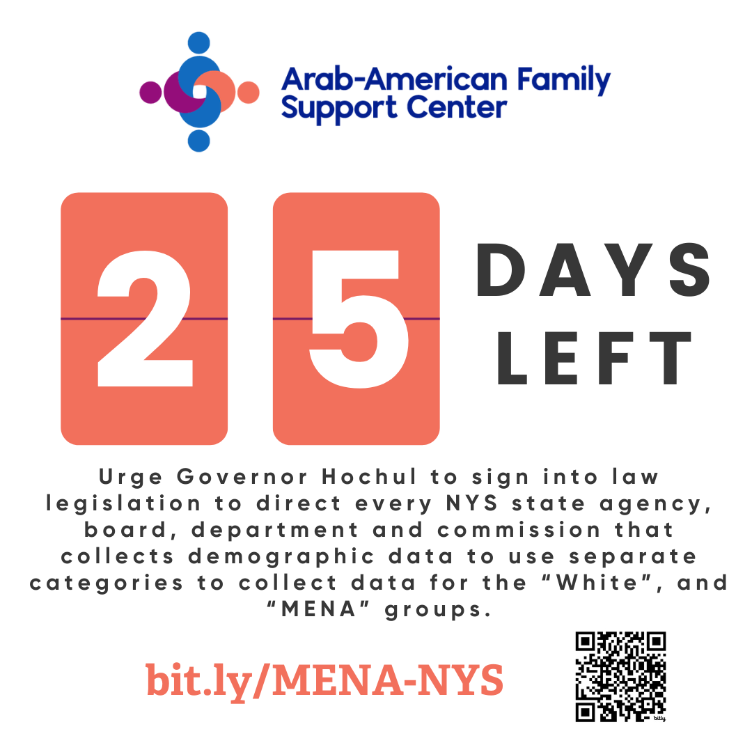 25 Day MENA