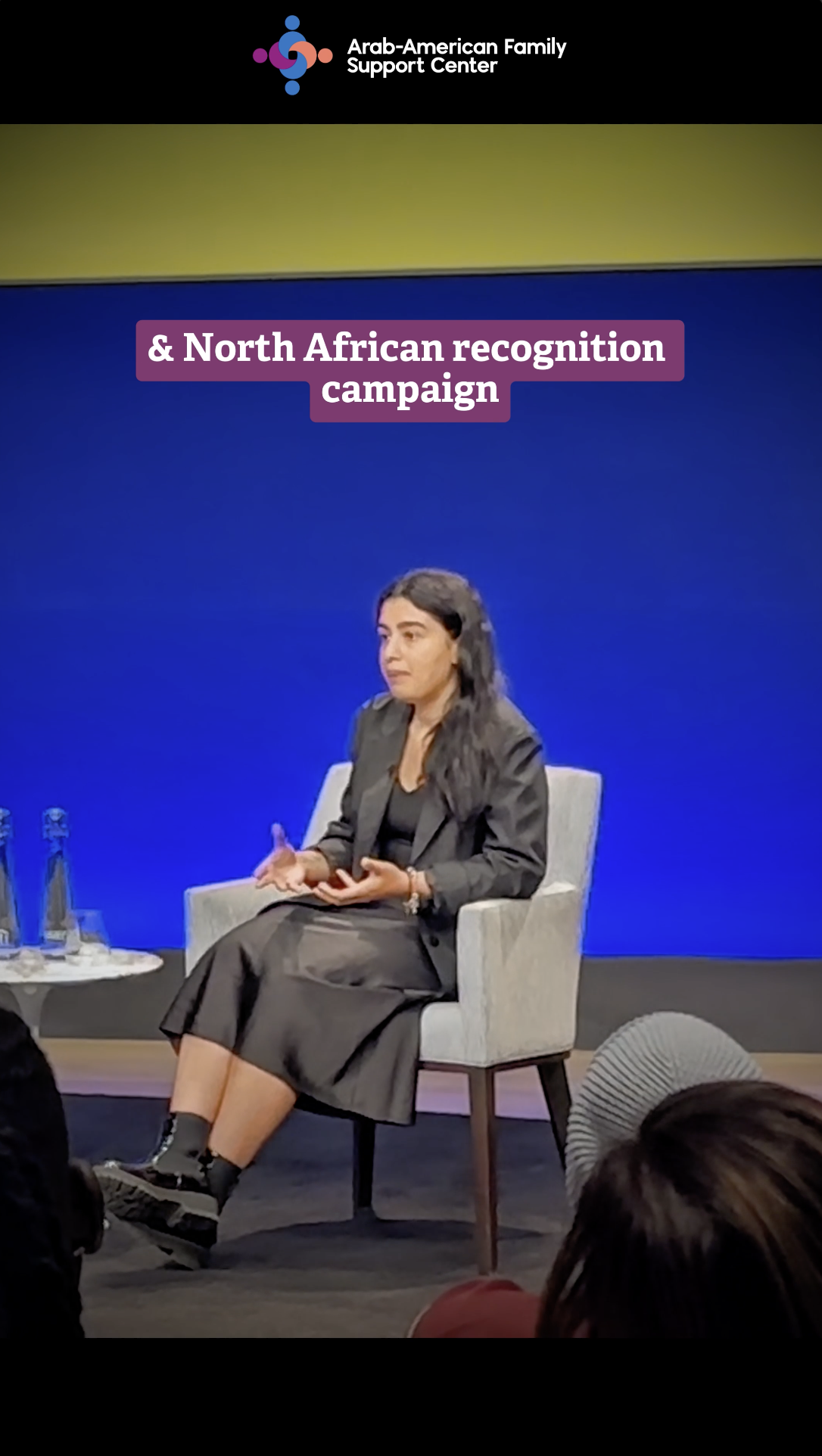 Advocating for MENA Representation
