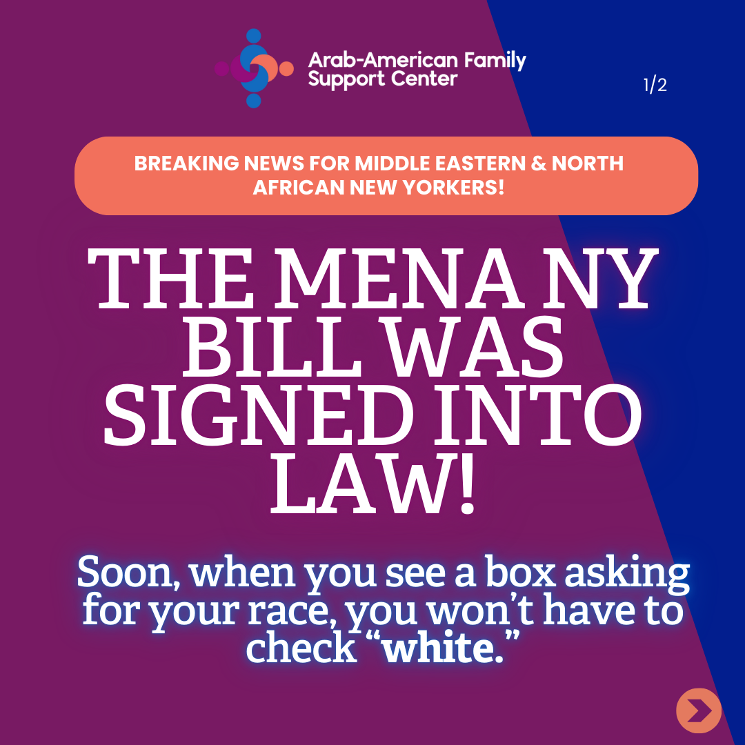 Arab-America Family Support Center - Mena NY Bill Design 