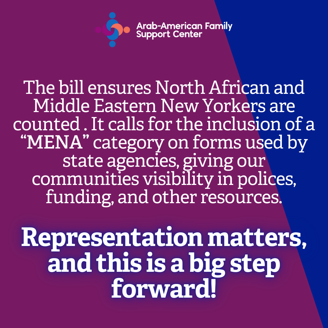The MENA Bill Slide 3