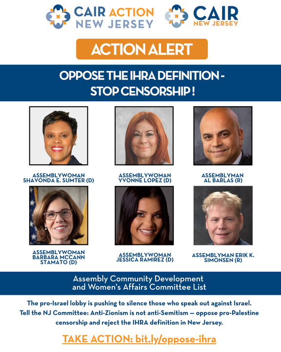 Oppose IHRA Definition Action Alert Post