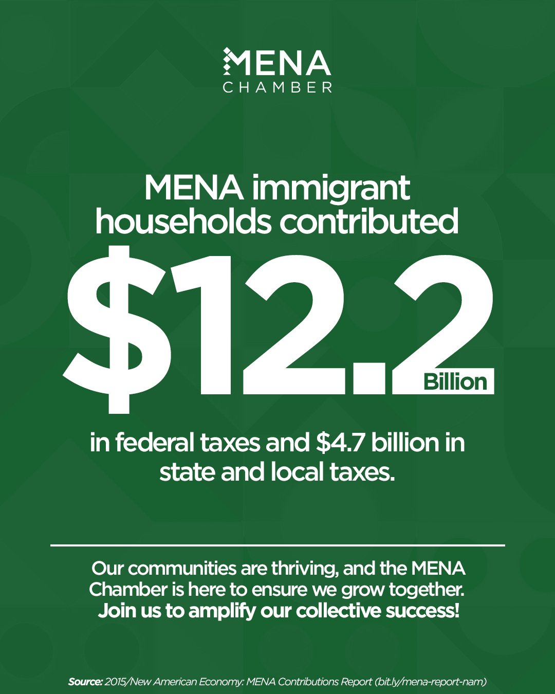 MENA immigrant households stats
