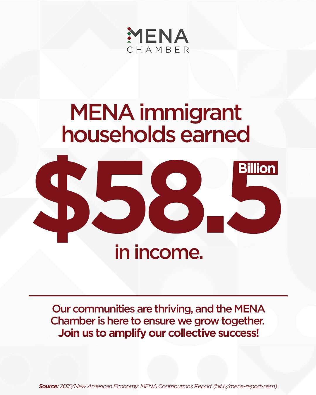 MENA immigrant households earned stats