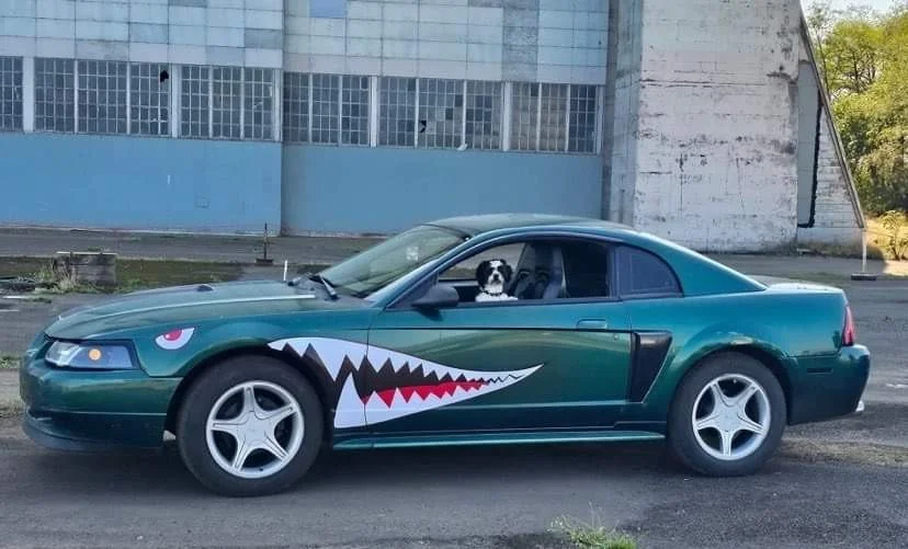 A teal sports car with a shark face design painted on the side, including a white eye and sharp teeth. A dog is sitting in the driver's seat, visible through the window, in an urban setting with a large building in the background.