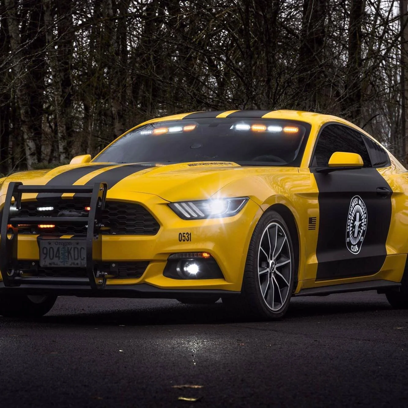A yellow police car with black racing stripes, a front push bumper, and police markings on the side, parked outdoors near trees.