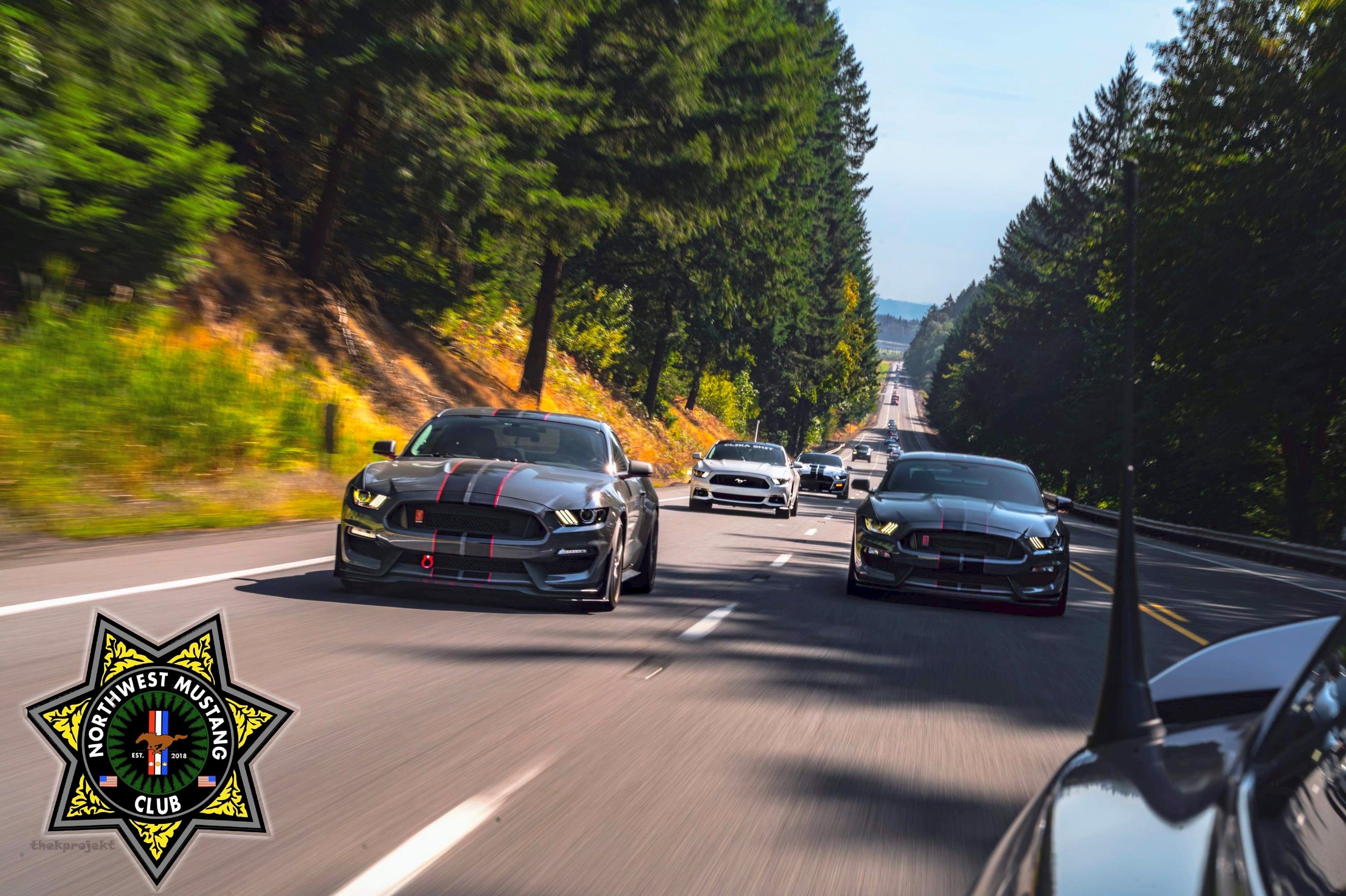 A car rally or race on a scenic forested highway with multiple cars, including two prominent black sports cars at the front, and a patch of an emblem or badge in the lower left corner that reads 'Northwest Mustang Club'.