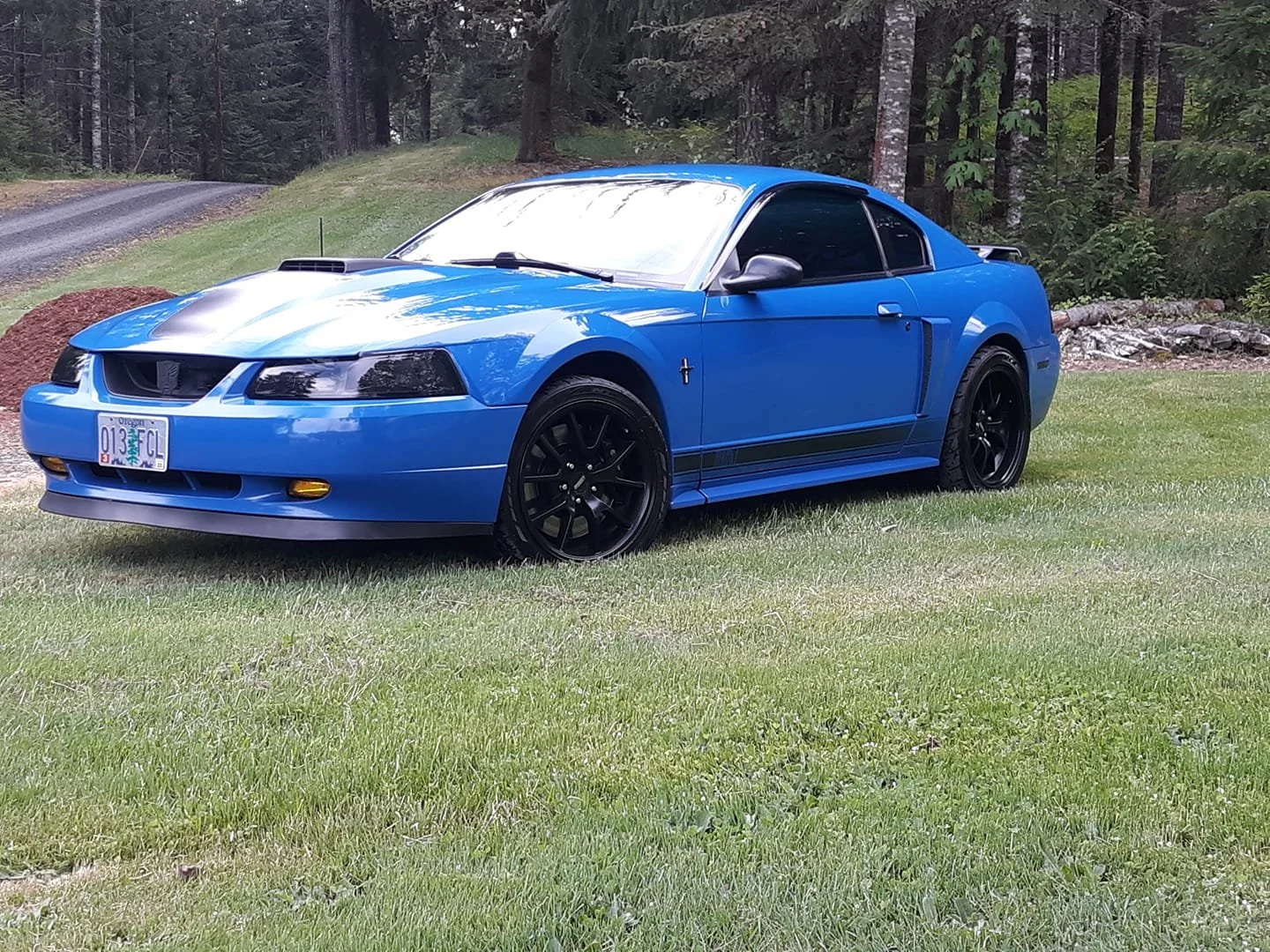 Blue sports car parked on a grassy area in a wooded setting with trees and a gravel pathway