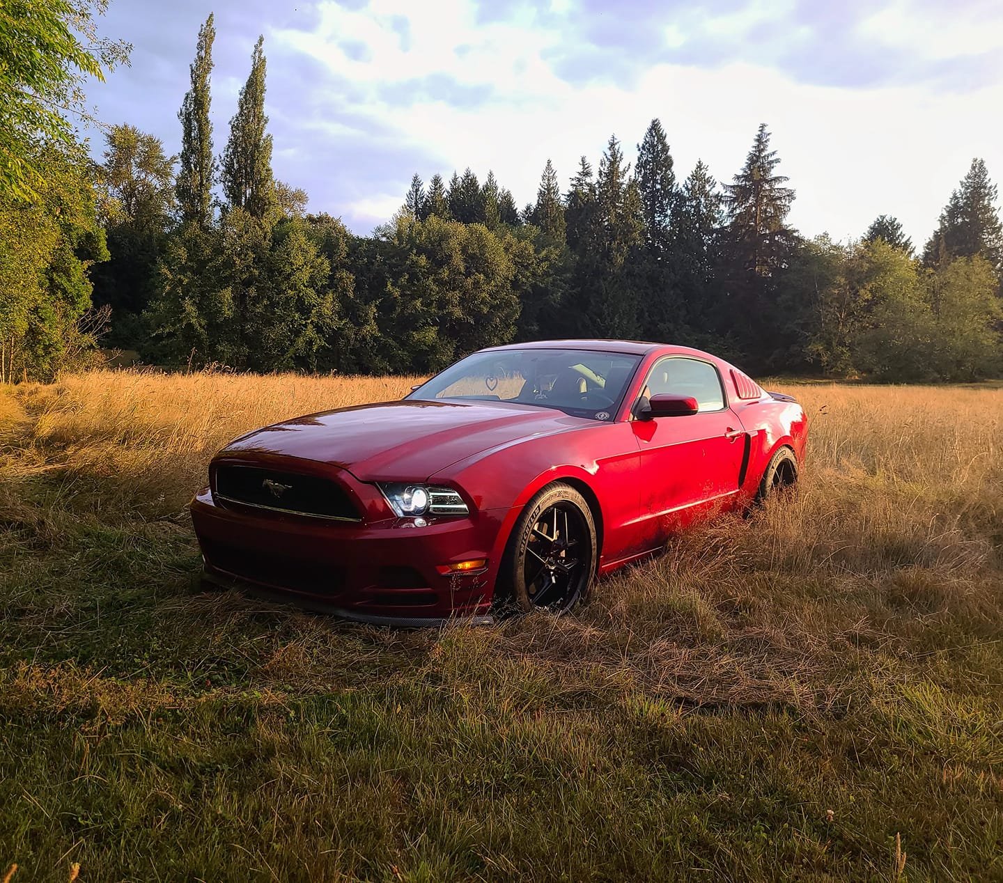 Red Ford Mustang car parked on a grassy field with trees in the background and a partly cloudy sky.