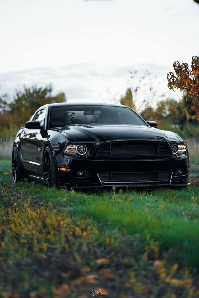 Black sports car parked on a grassy field with trees in the background.