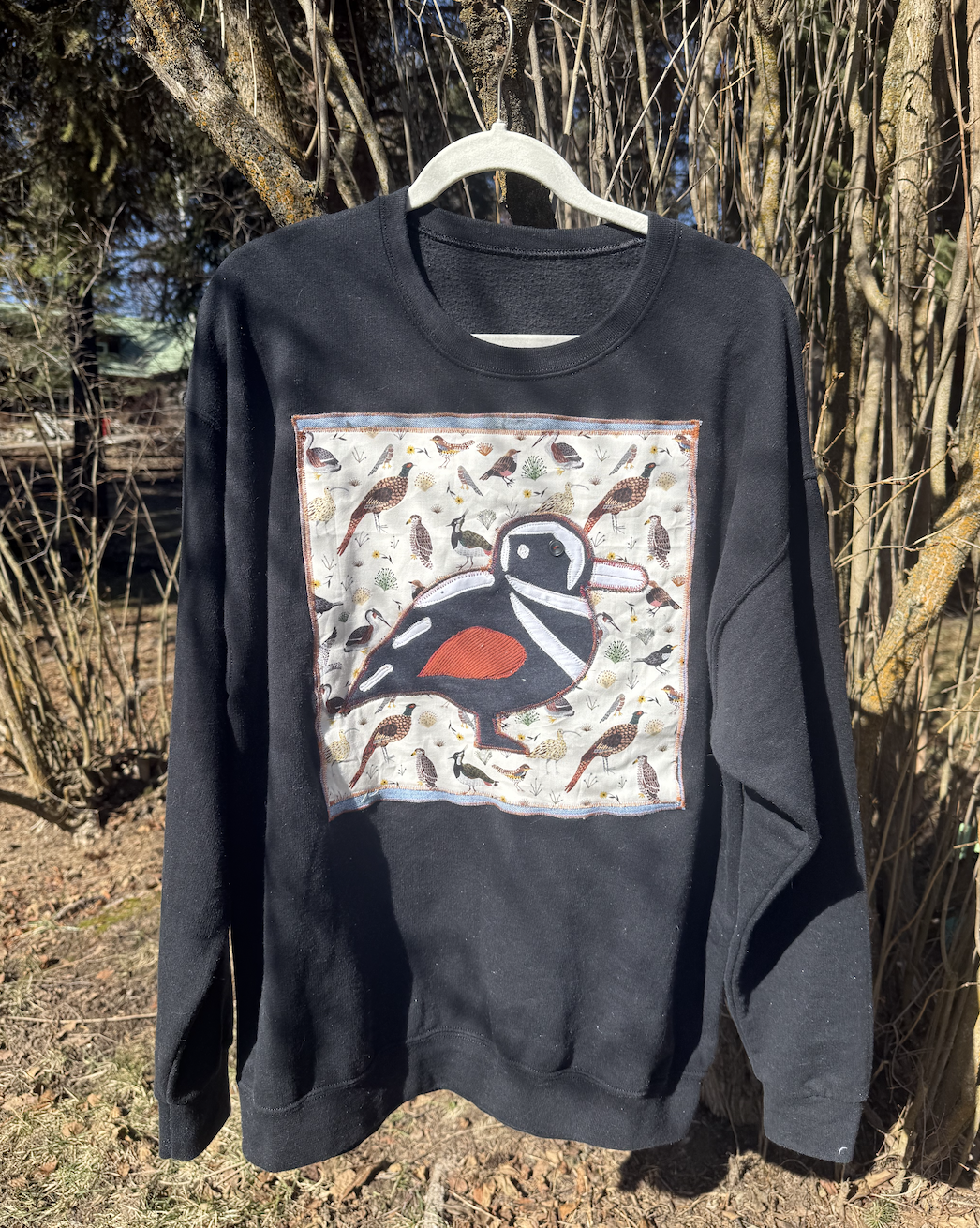 Harlequin Duck