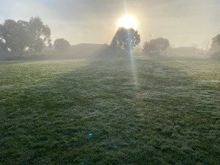 Morning Sun.jpg