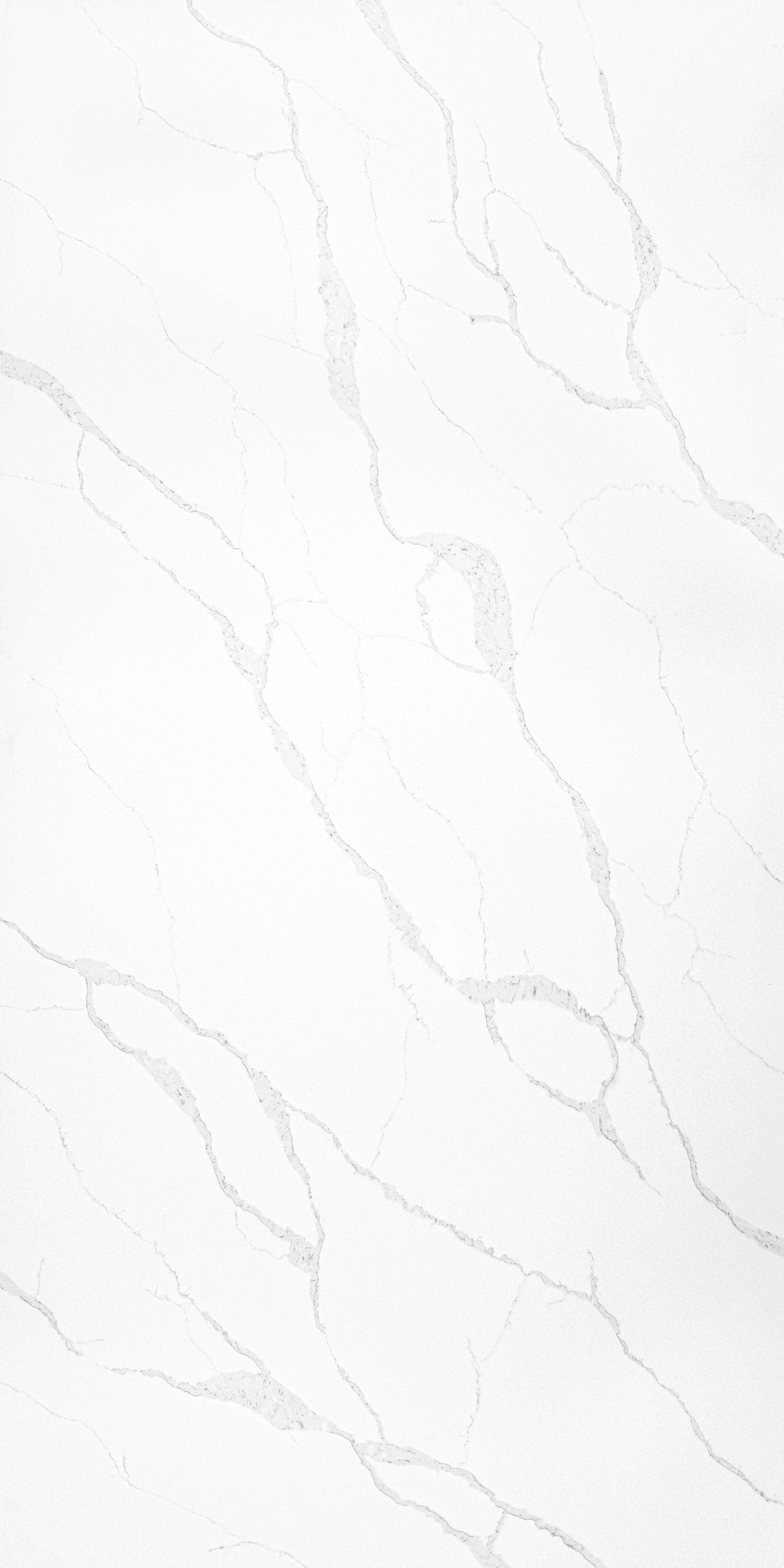 A close-up of a white marble surface with gray veining.