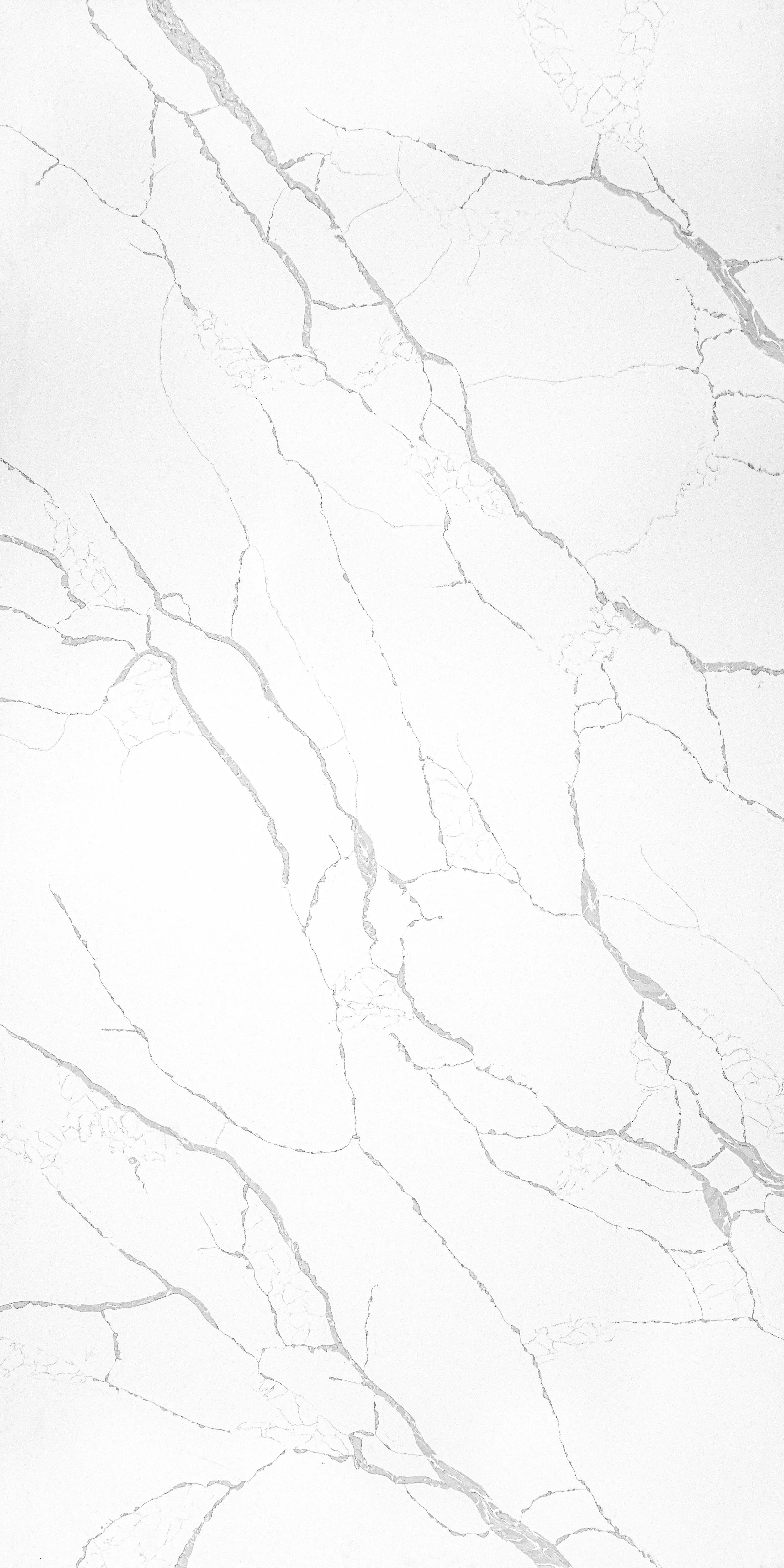 Close-up of a white marble surface with gray veining.