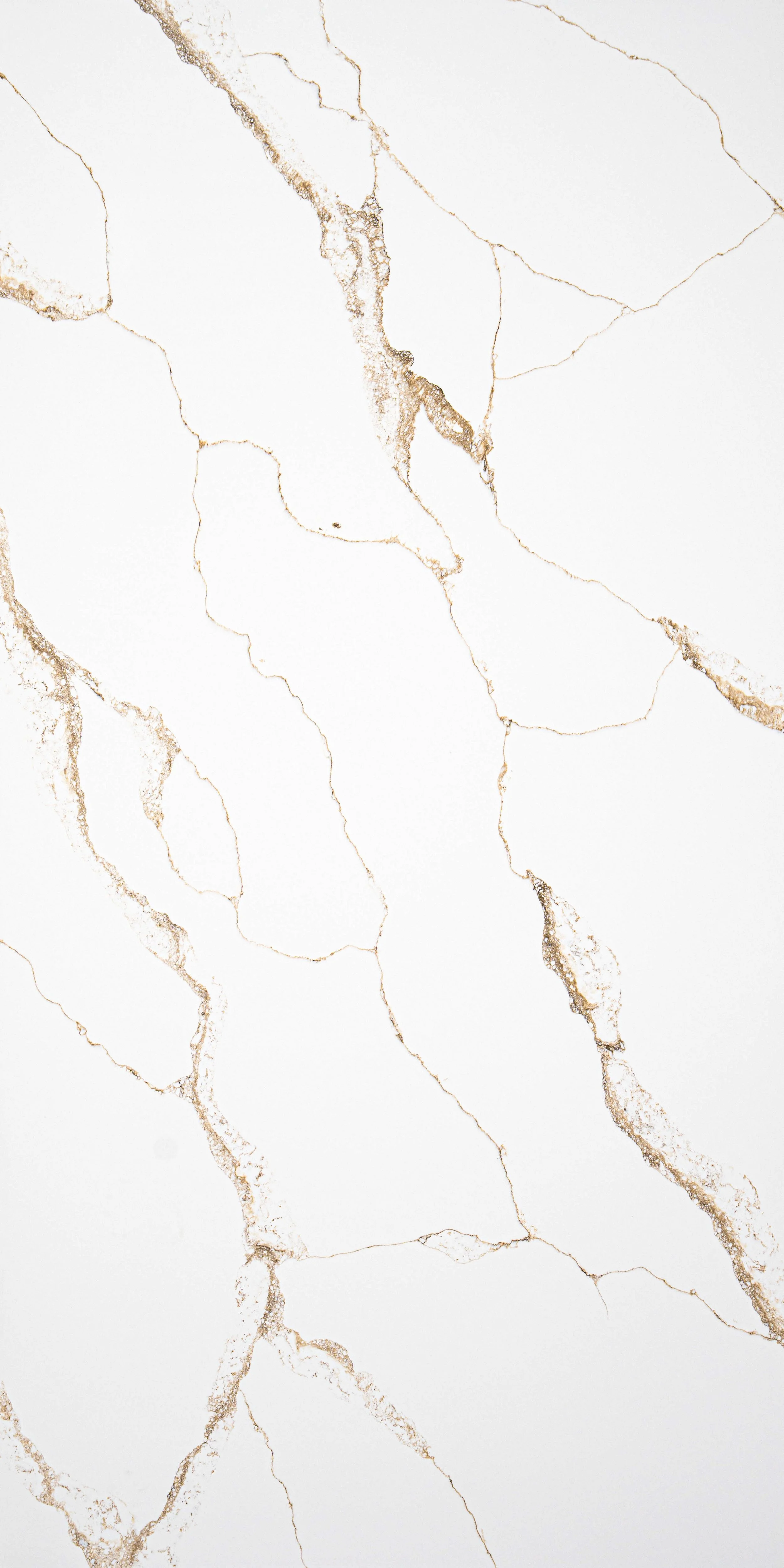 Close-up of a white marble surface with gold veining.