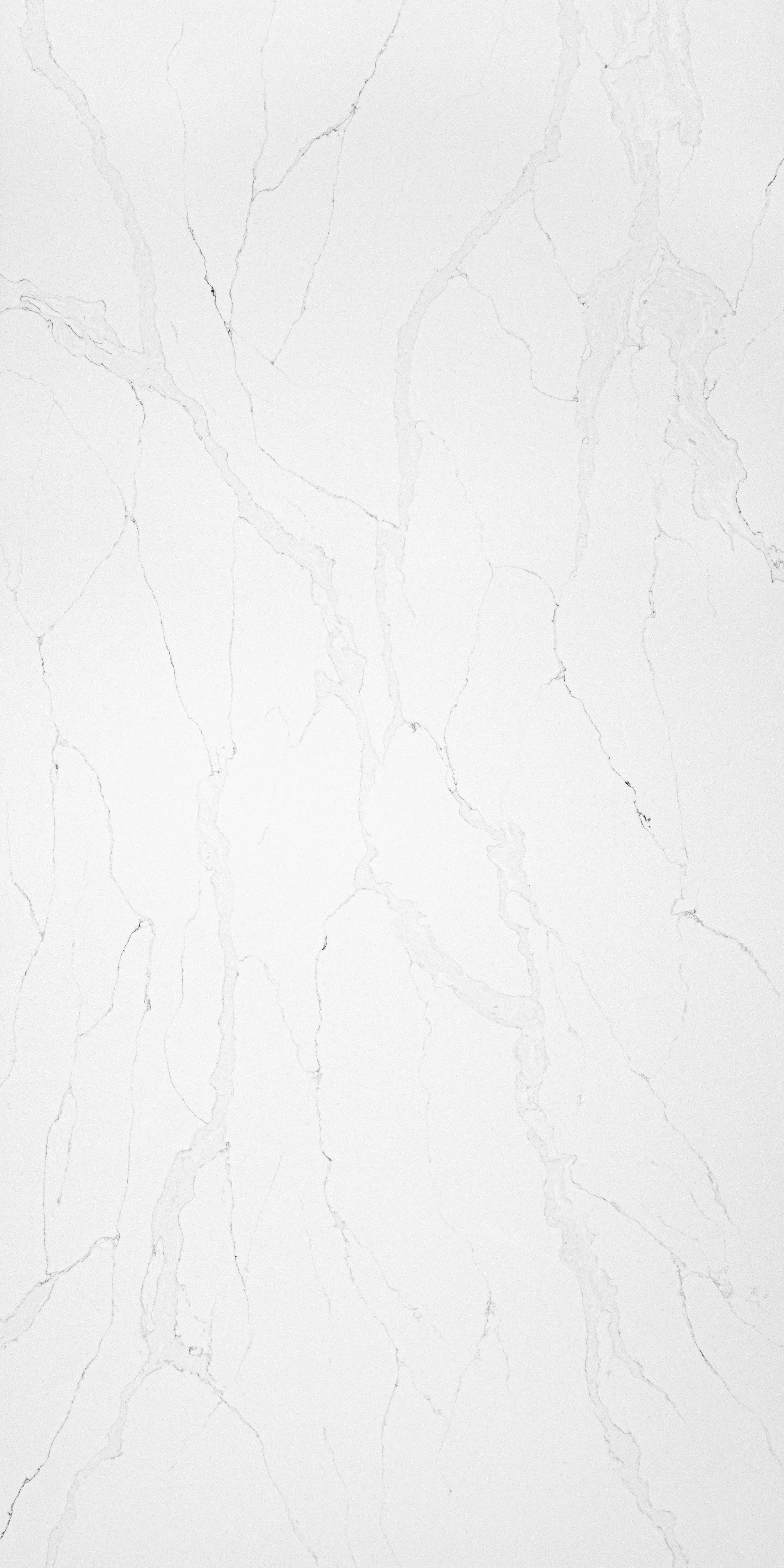 A white marble surface with gray veining.