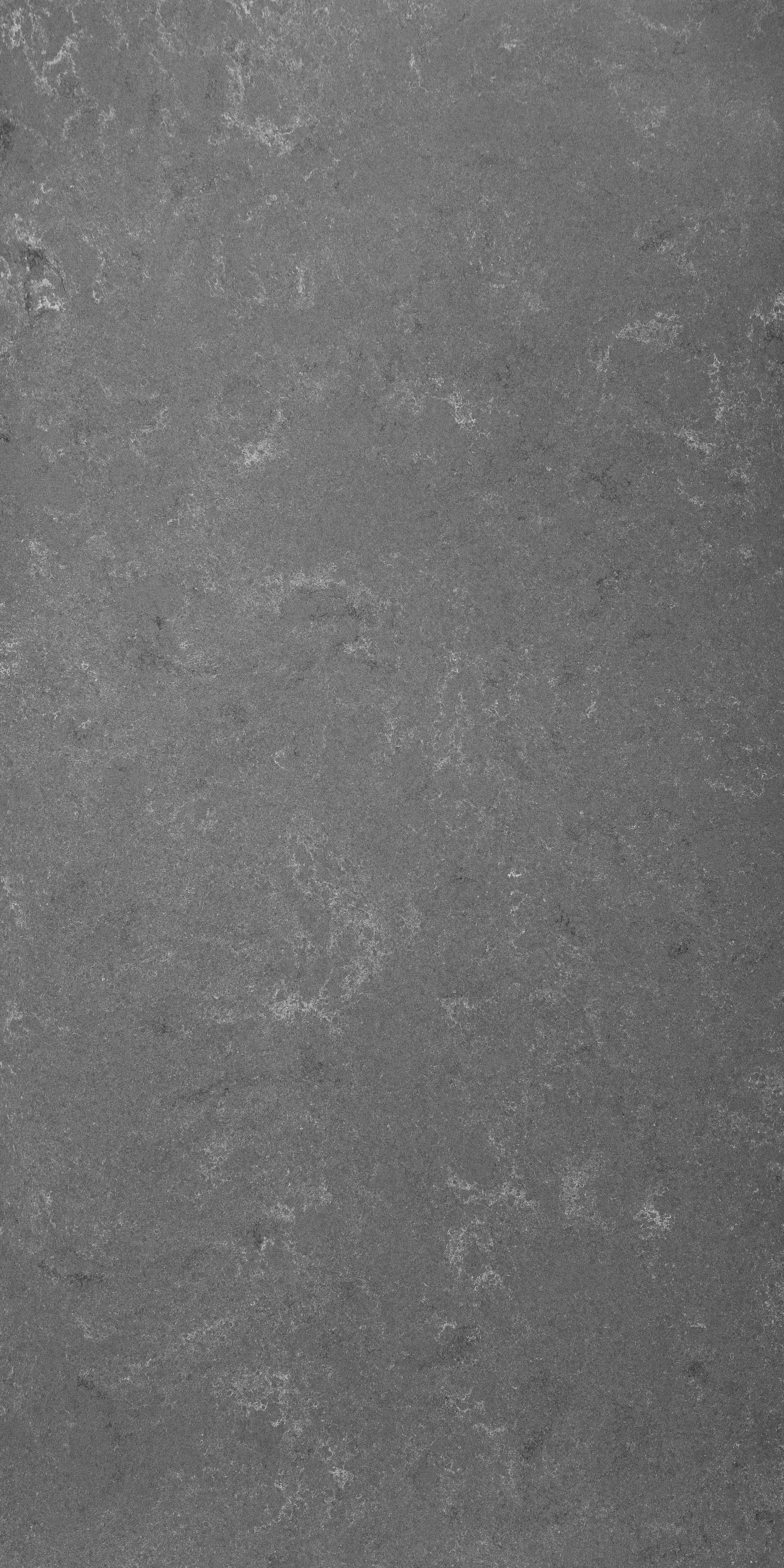 A close-up view of a gray textured stone or concrete surface.