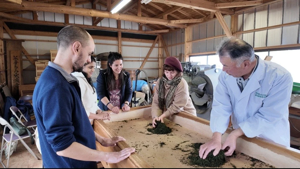 What is Oku-Kuji Tea — and Why It's One of Japan's Best Kept Secrets