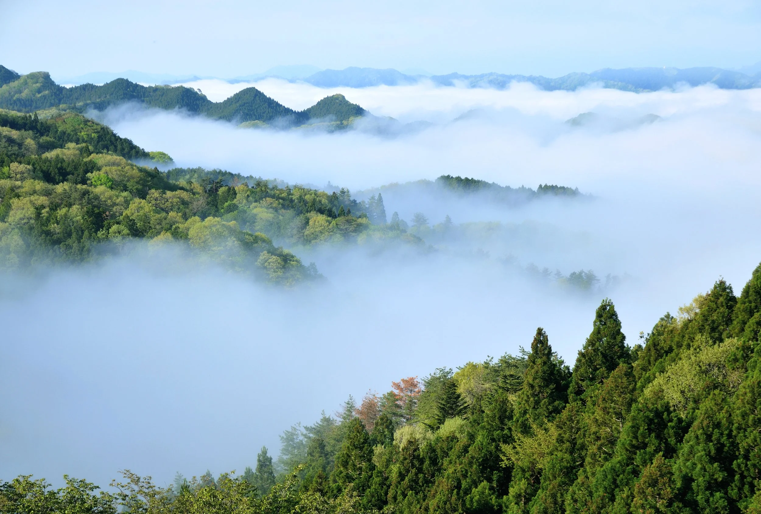 Green forested mountains with mist or fog covering the valleys and lower slopes, blue sky in the background.