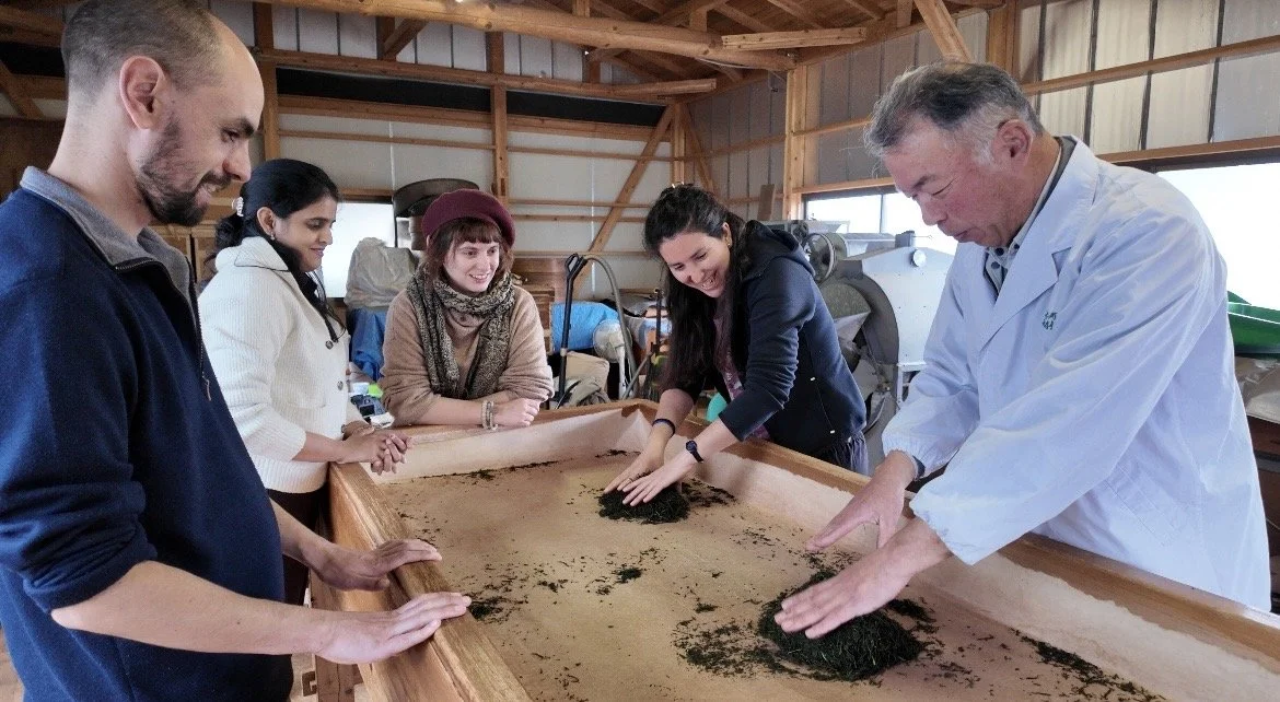Foreign travelers experiencing hand-rolled tea with the tea master