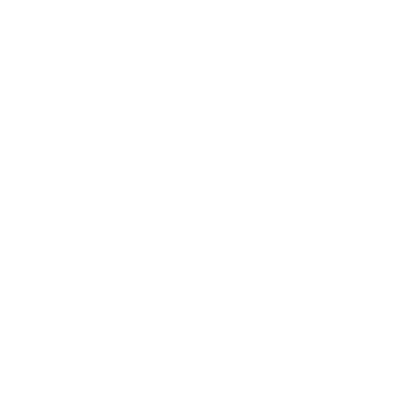 VESL Logo WordMark White